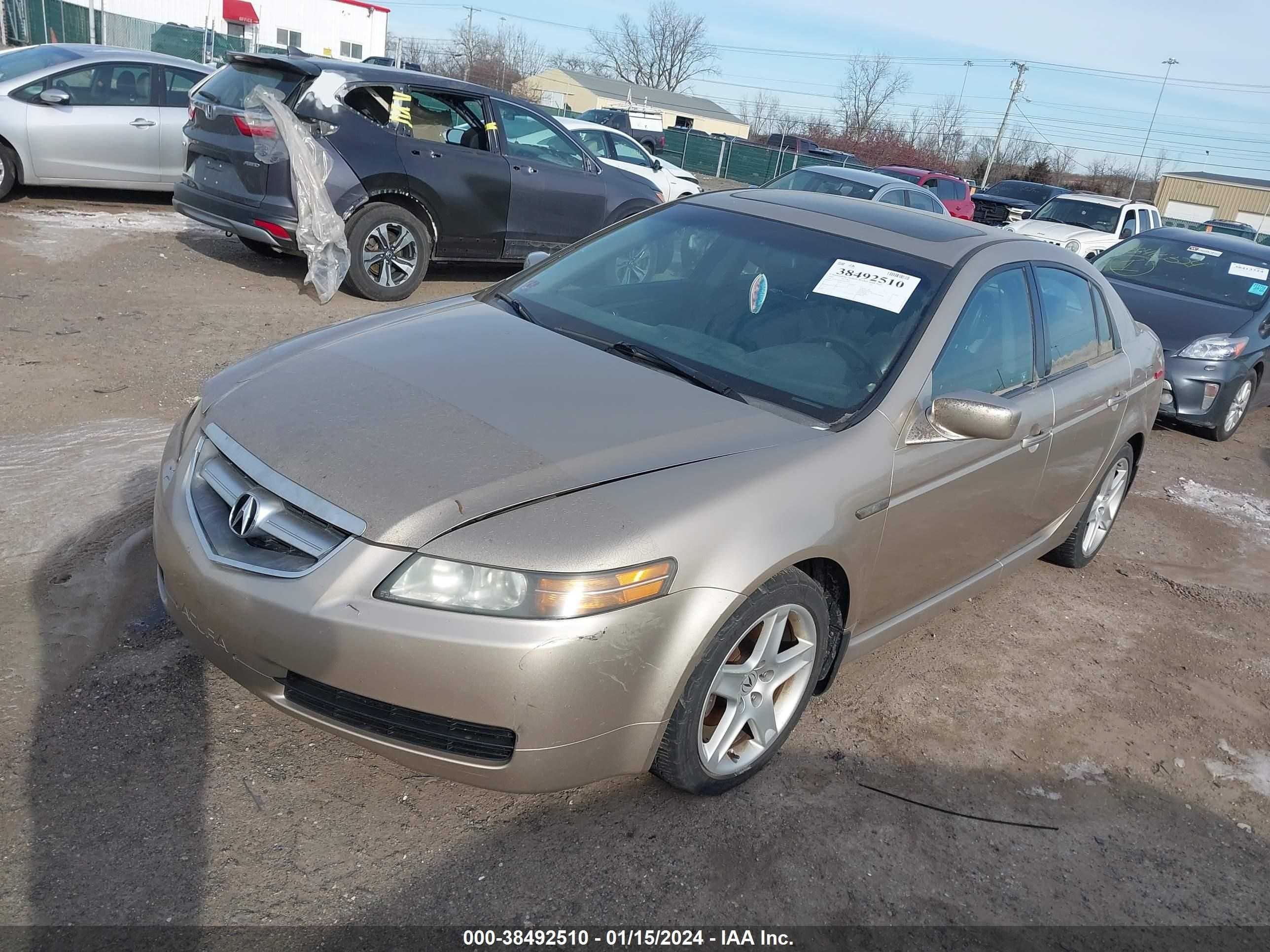 Photo 1 VIN: 19UUA66295A055799 - ACURA TL 