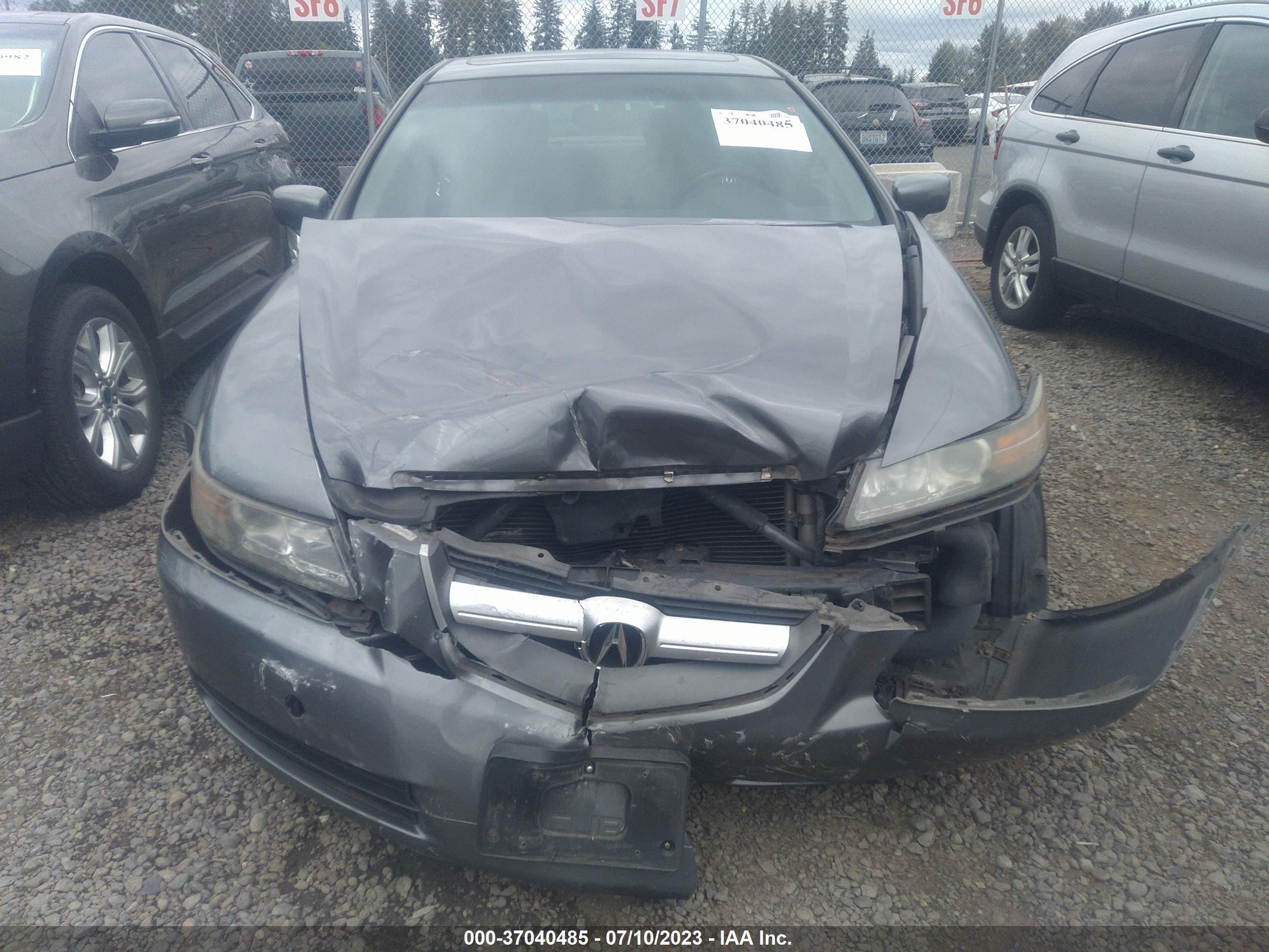 Photo 11 VIN: 19UUA66295A077687 - ACURA TL 