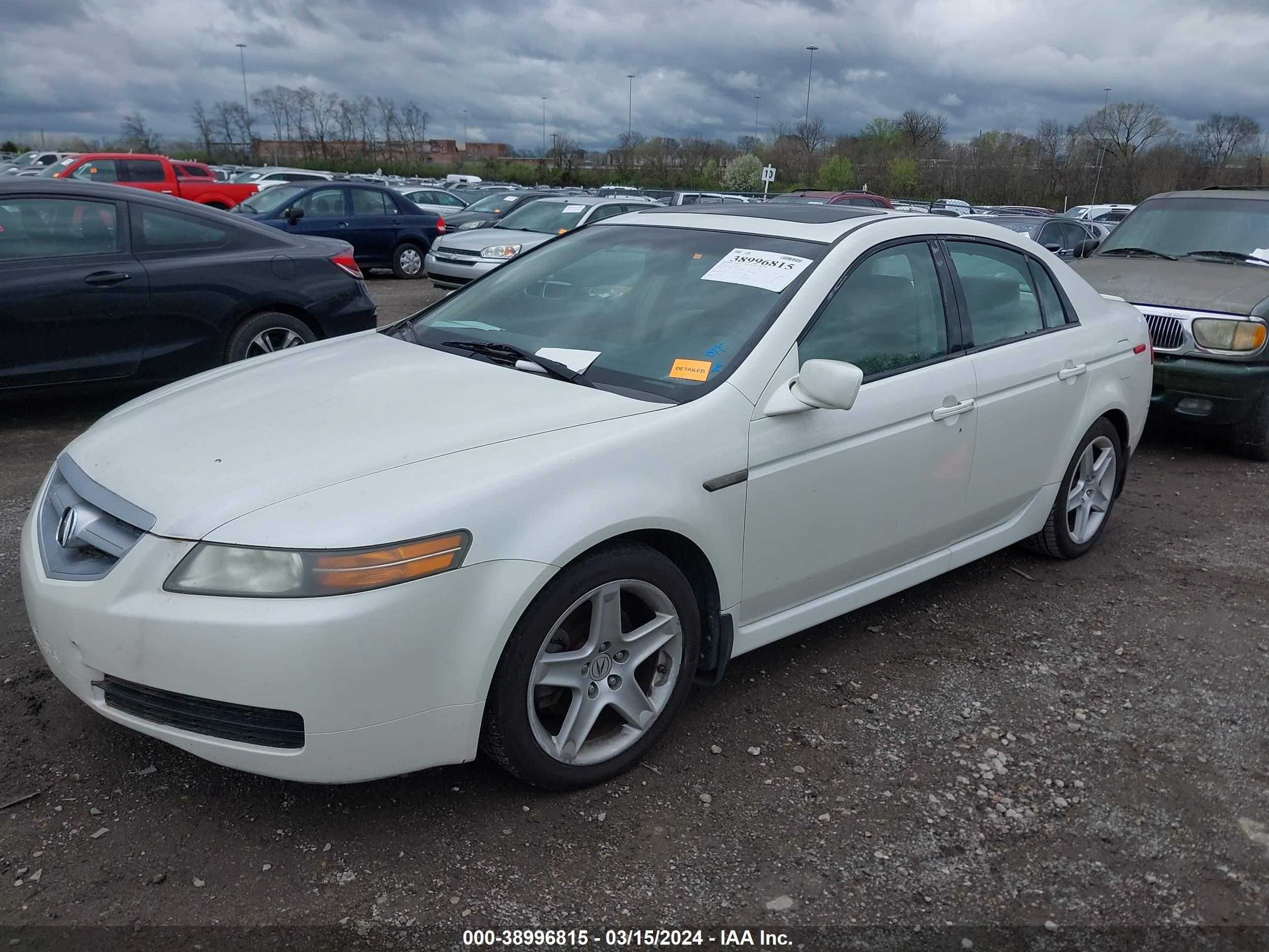 Photo 1 VIN: 19UUA66296A037840 - ACURA TL 