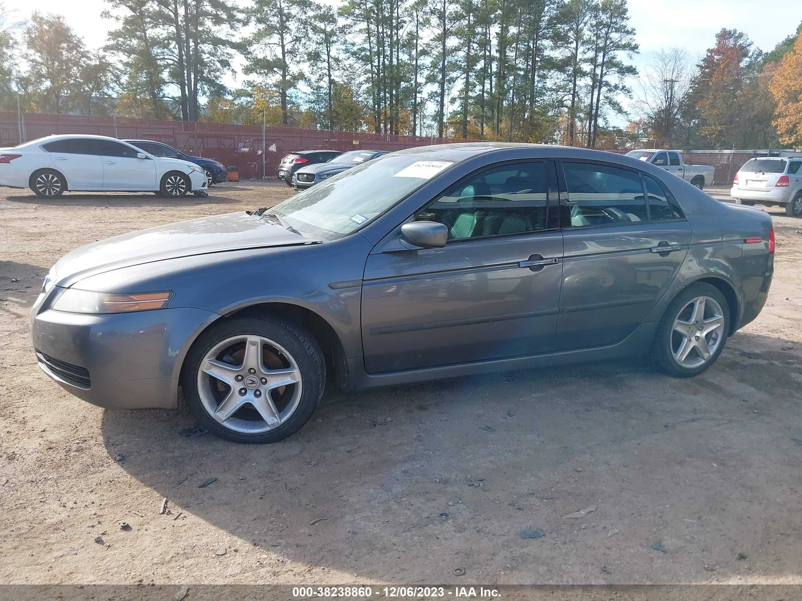 Photo 14 VIN: 19UUA66296A072717 - ACURA TL 