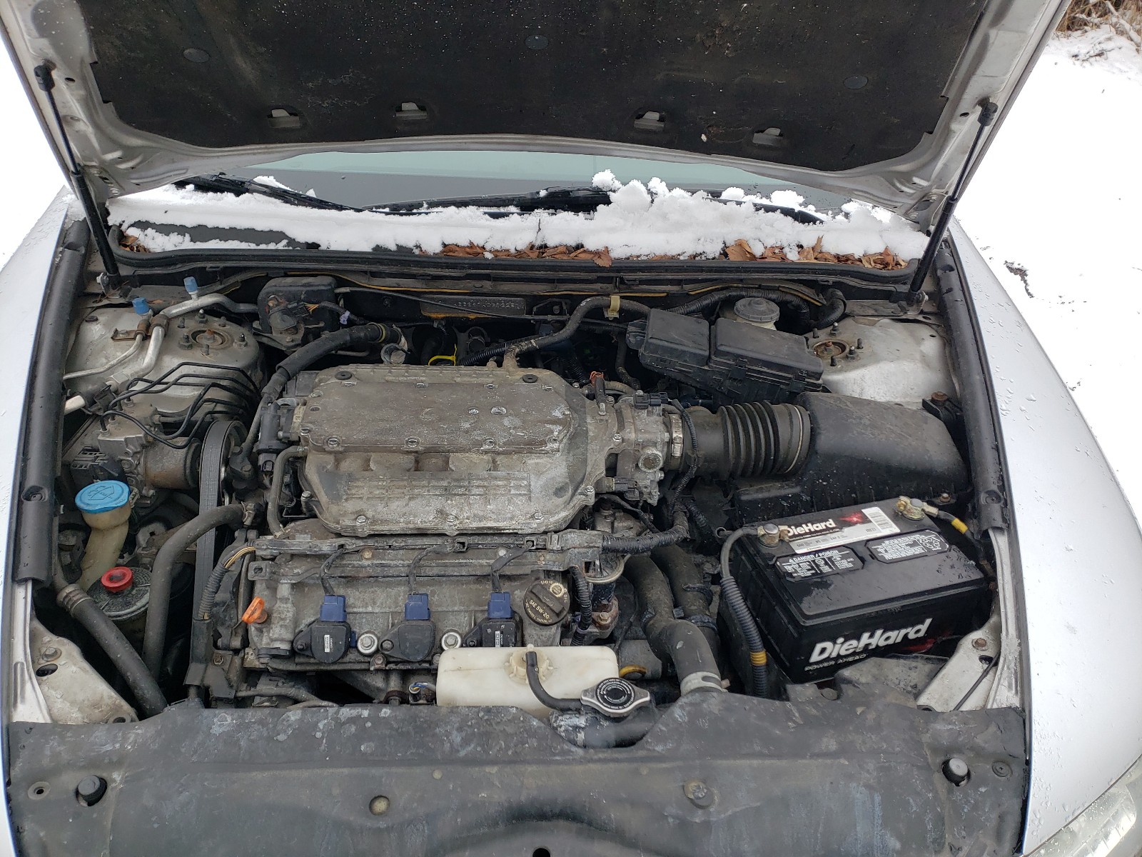 Photo 6 VIN: 19UUA66297A037225 - ACURA TL 