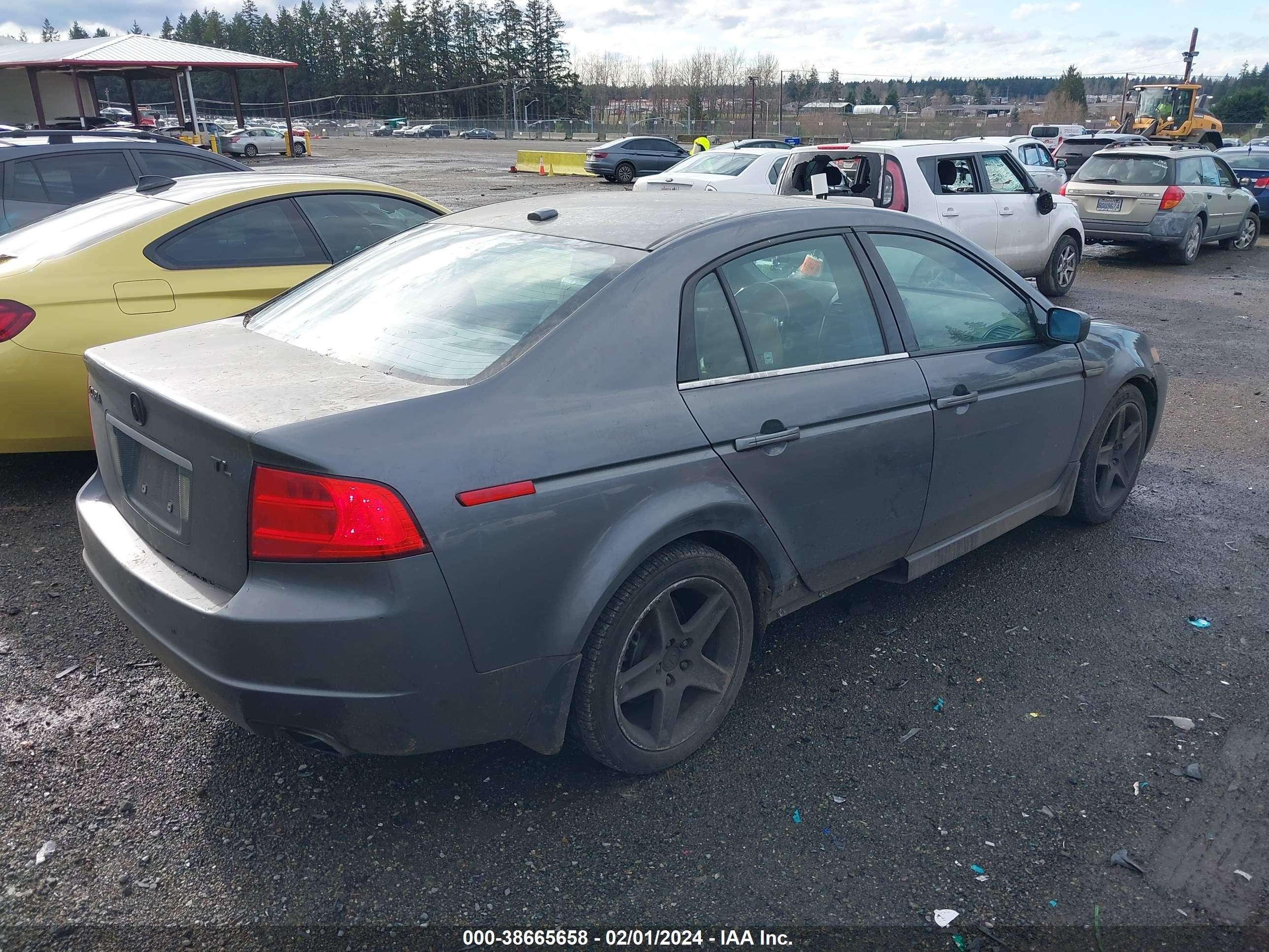 Photo 3 VIN: 19UUA662X4A042252 - ACURA TL 