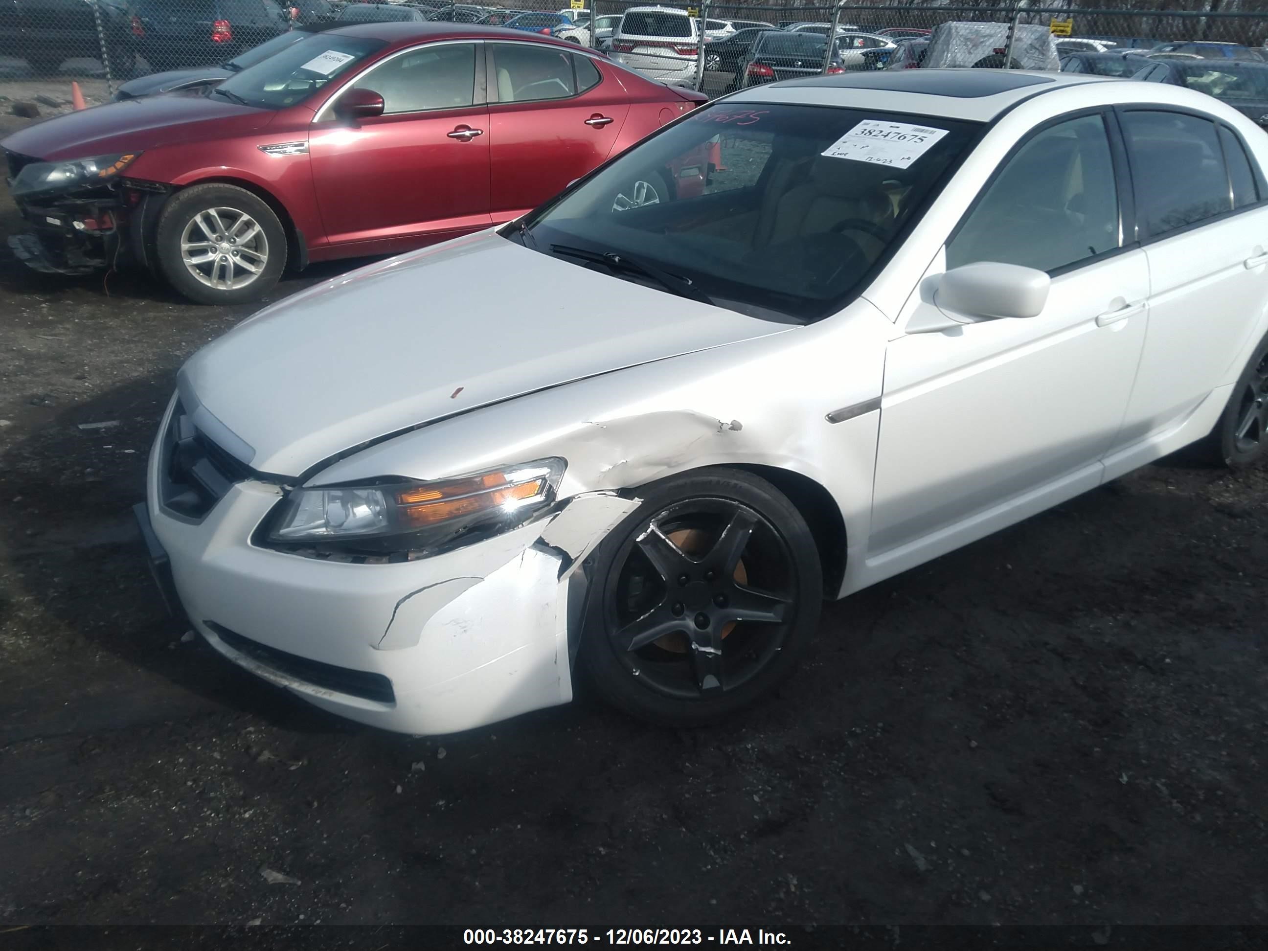 Photo 5 VIN: 19UUA662X5A065998 - ACURA TL 