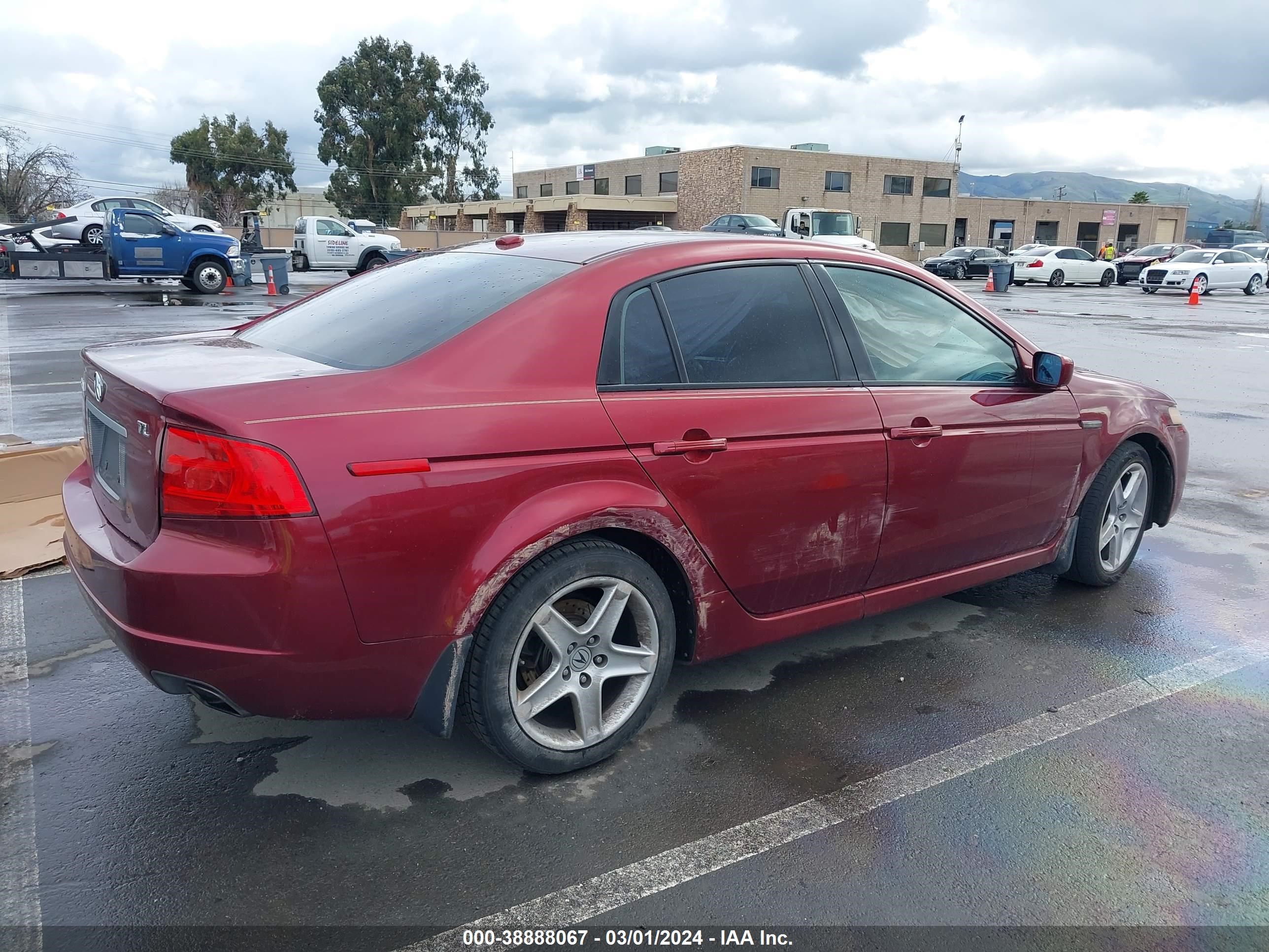 Photo 3 VIN: 19UUA662X6A019007 - ACURA TL 