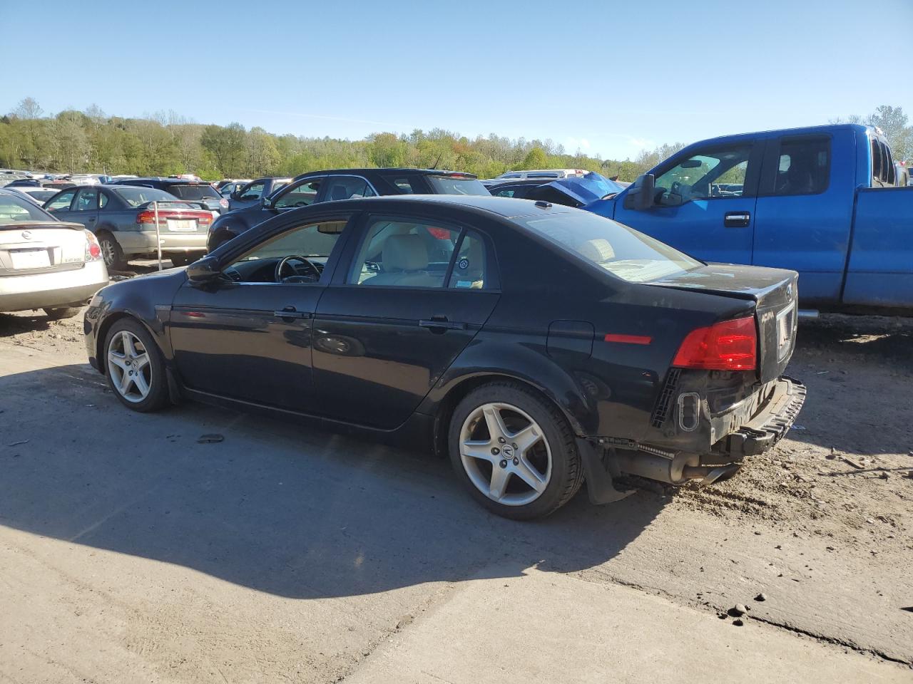 Photo 1 VIN: 19UUA662X6A038267 - ACURA TL 