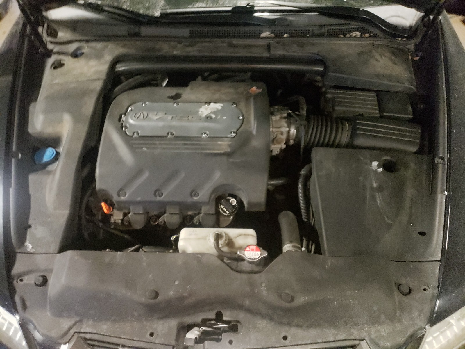 Photo 6 VIN: 19UUA662X6A046742 - ACURA 3.2TL 