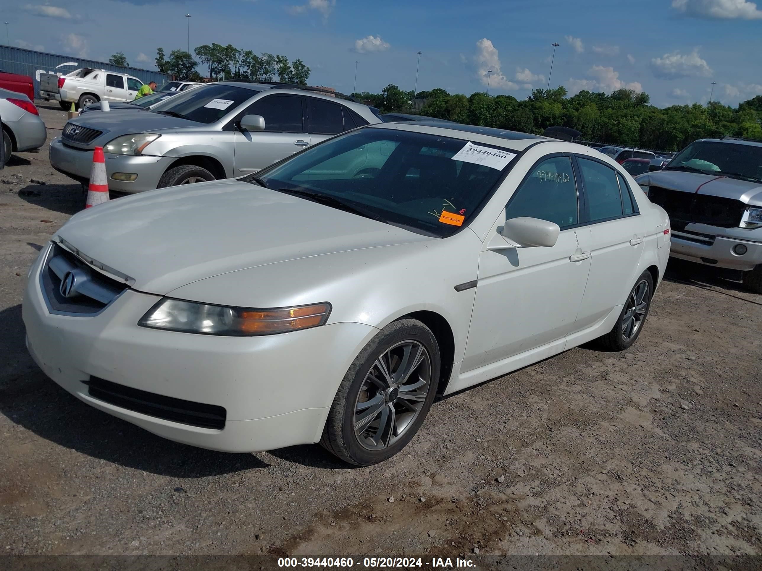 Photo 1 VIN: 19UUA662X6A065016 - ACURA TL 