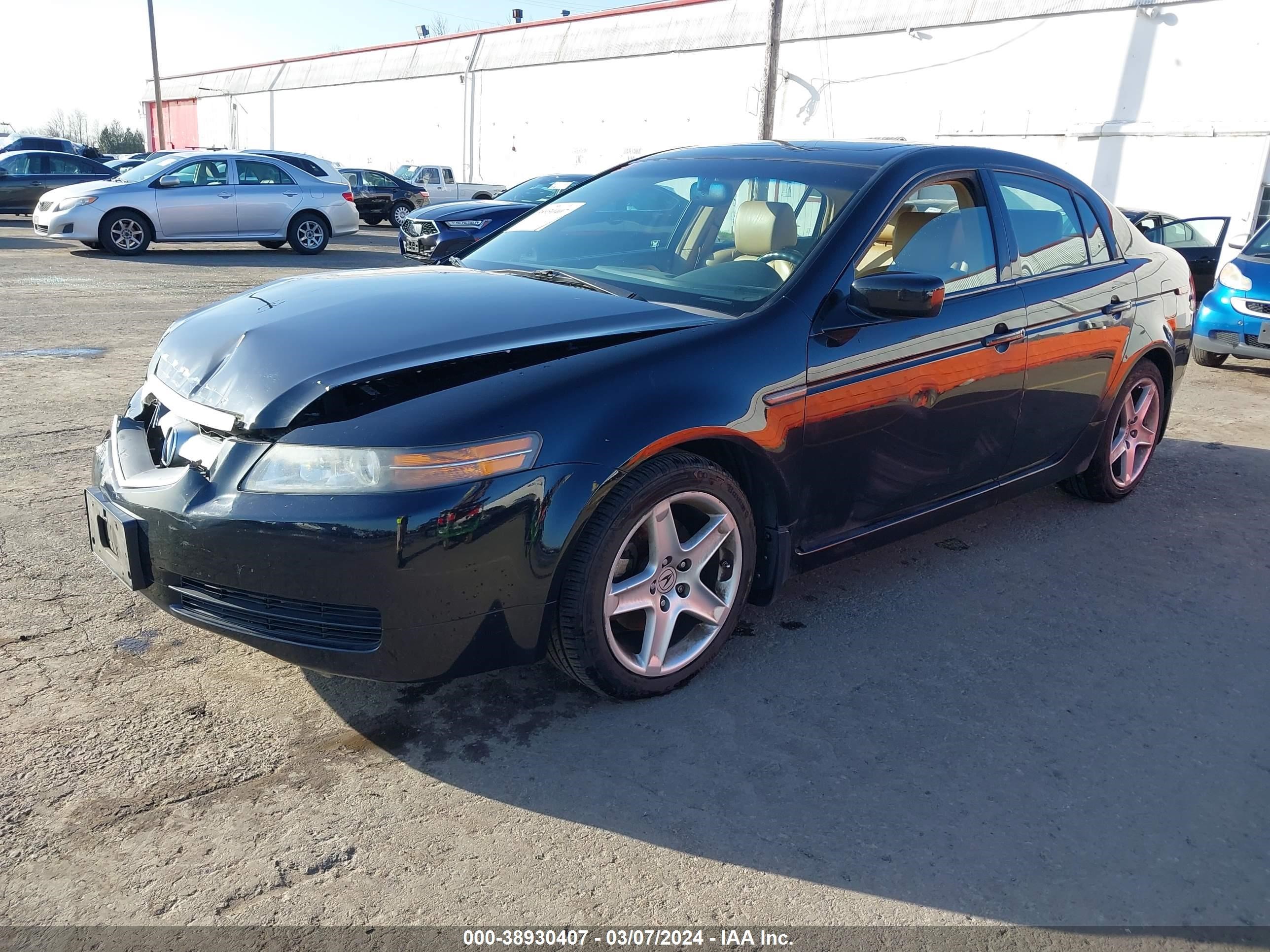 Photo 1 VIN: 19UUA662X6A067834 - ACURA TL 