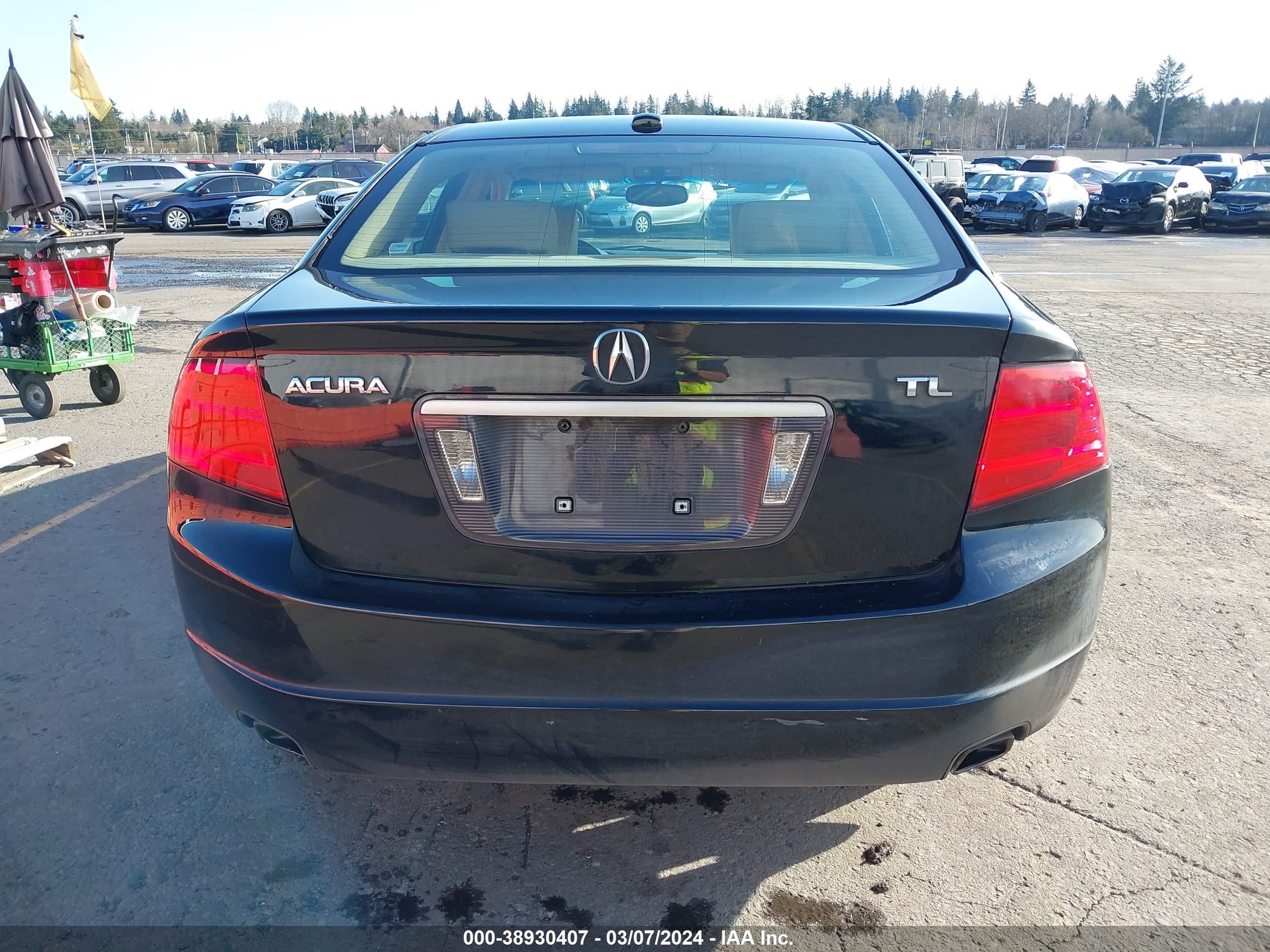 Photo 15 VIN: 19UUA662X6A067834 - ACURA TL 