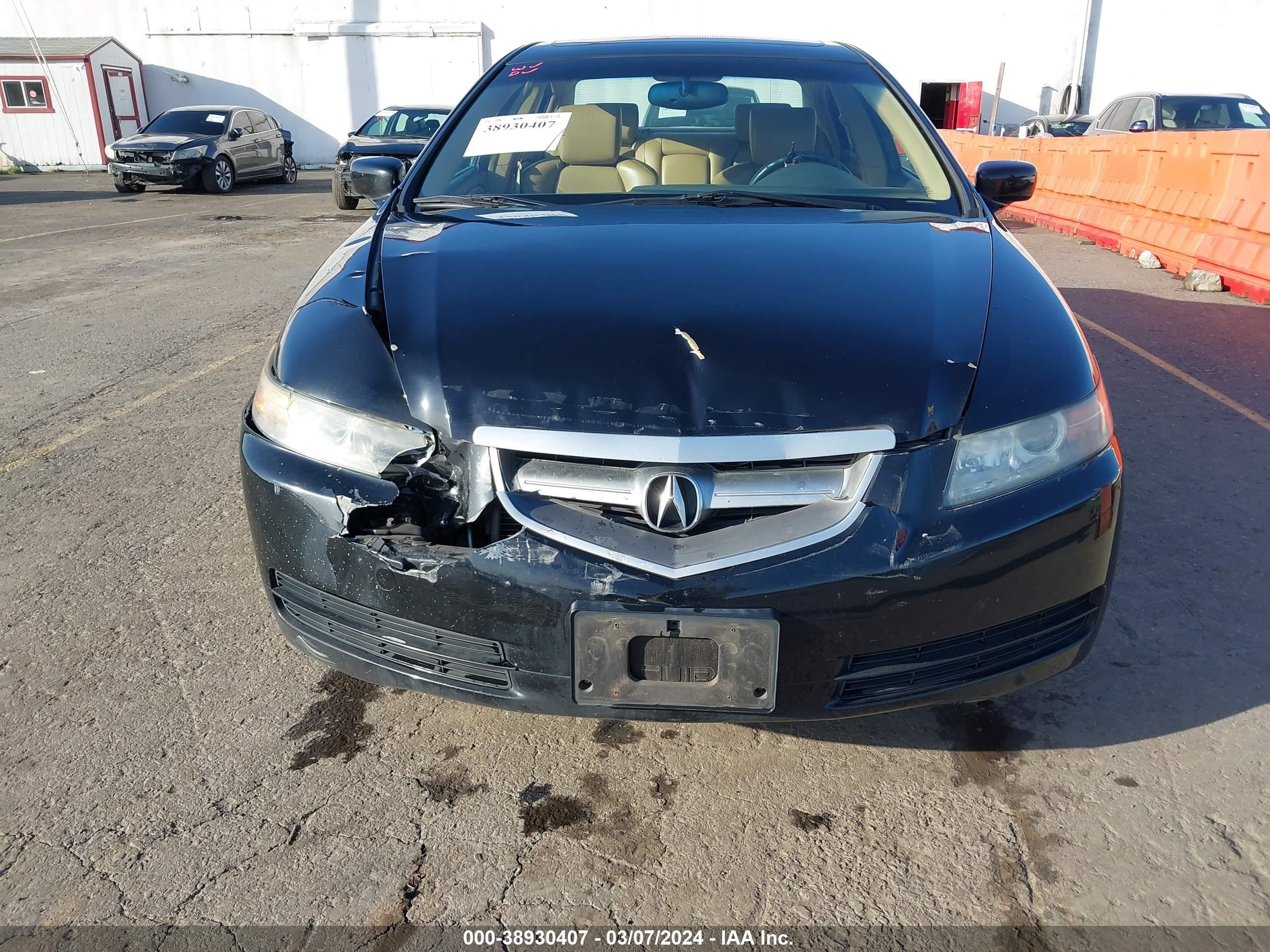 Photo 5 VIN: 19UUA662X6A067834 - ACURA TL 