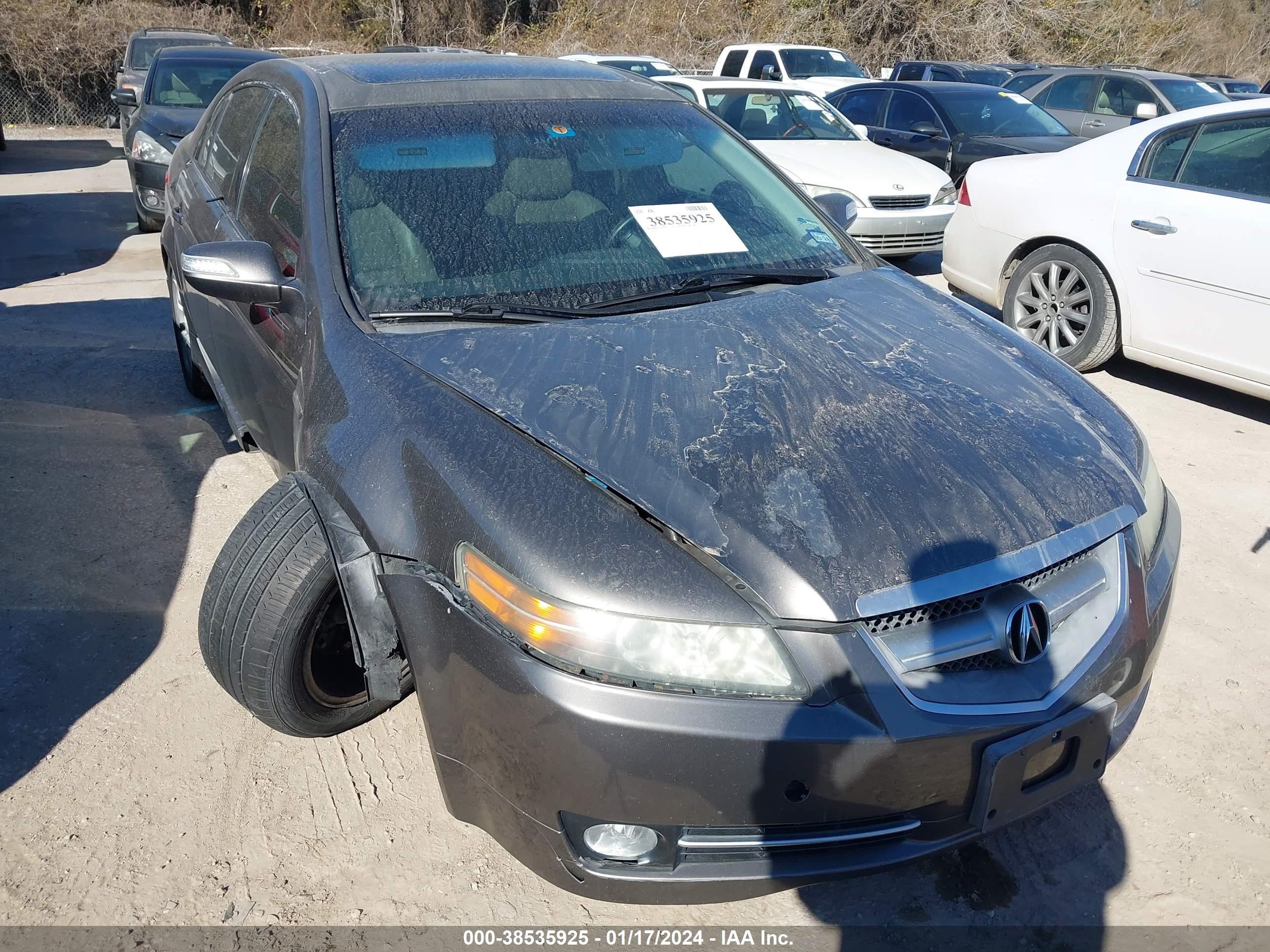 Photo 5 VIN: 19UUA662X8A020130 - ACURA TL 