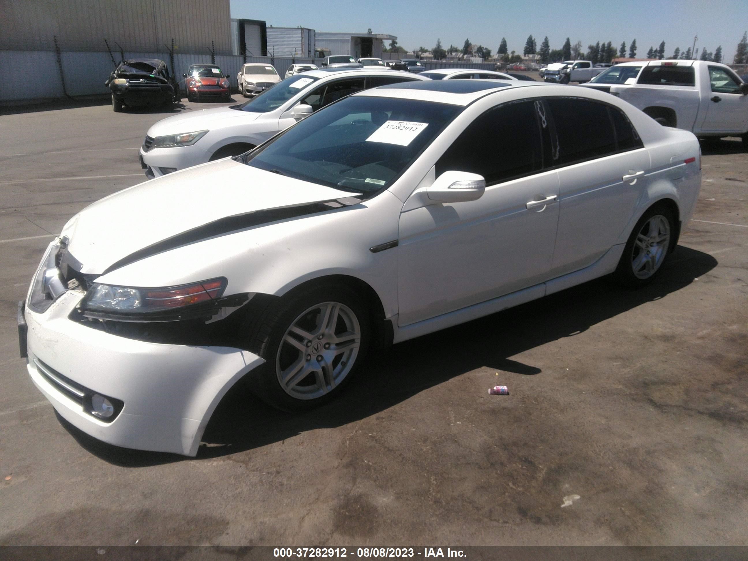 Photo 1 VIN: 19UUA662X8A049093 - ACURA TL 