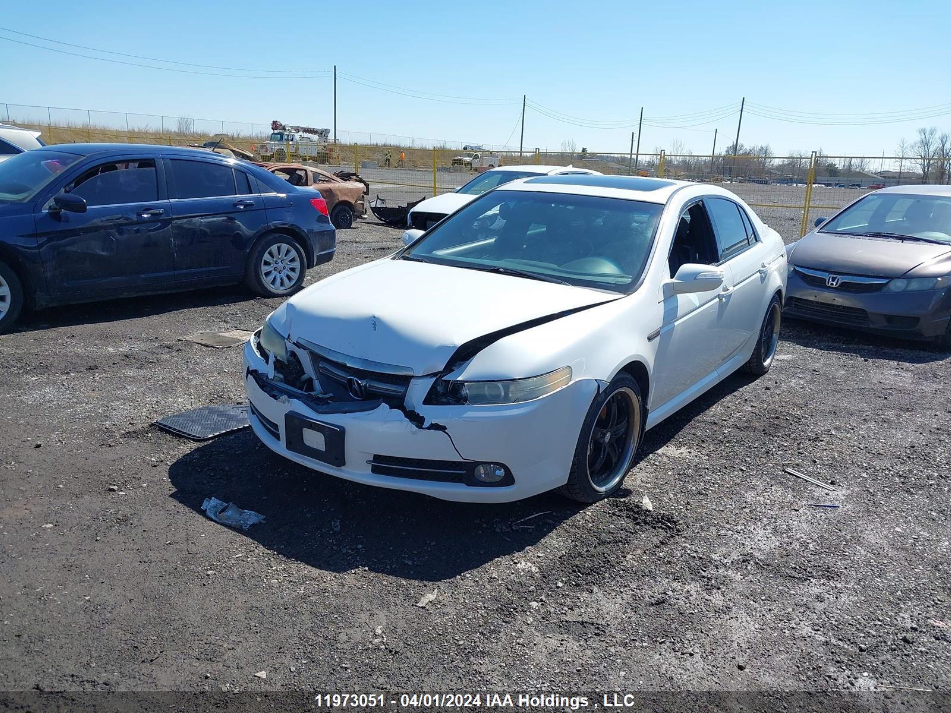 Photo 1 VIN: 19UUA76517A803156 - ACURA TL 