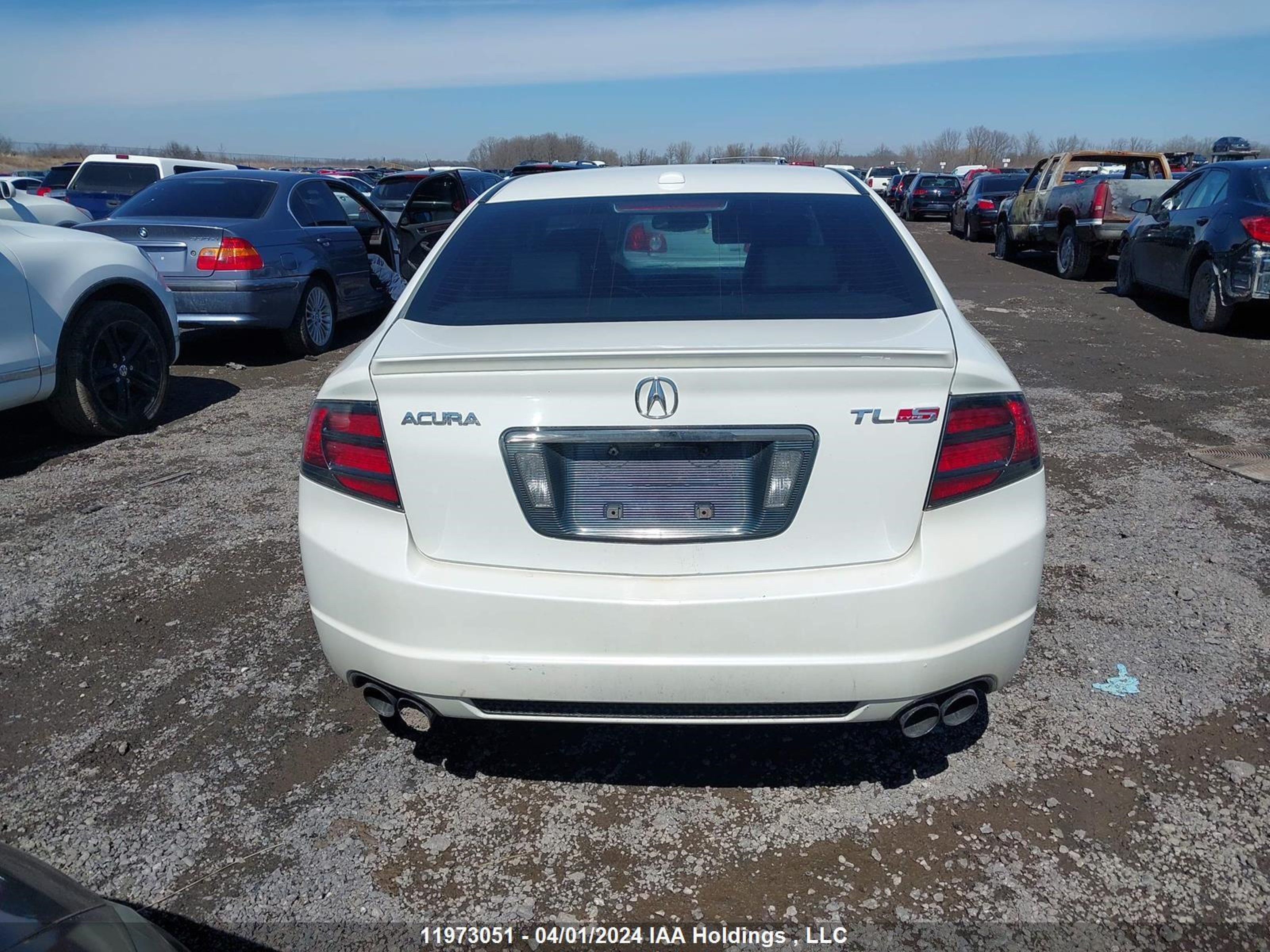 Photo 15 VIN: 19UUA76517A803156 - ACURA TL 