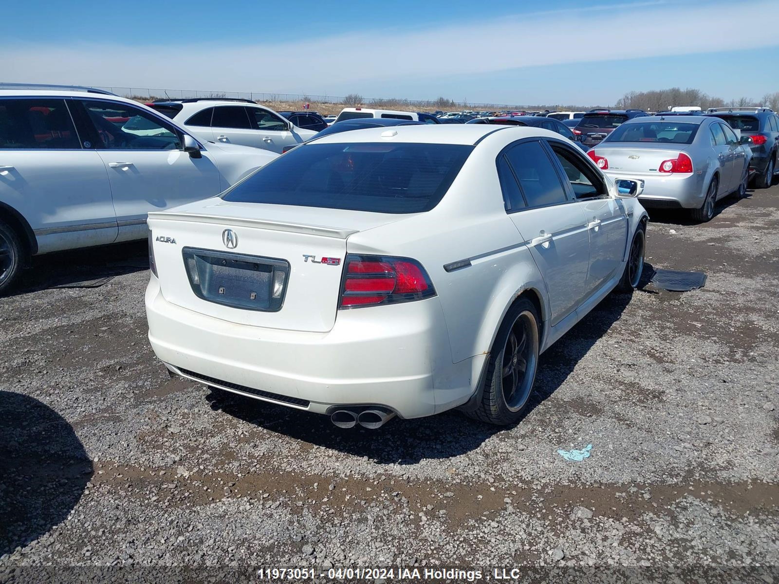 Photo 3 VIN: 19UUA76517A803156 - ACURA TL 