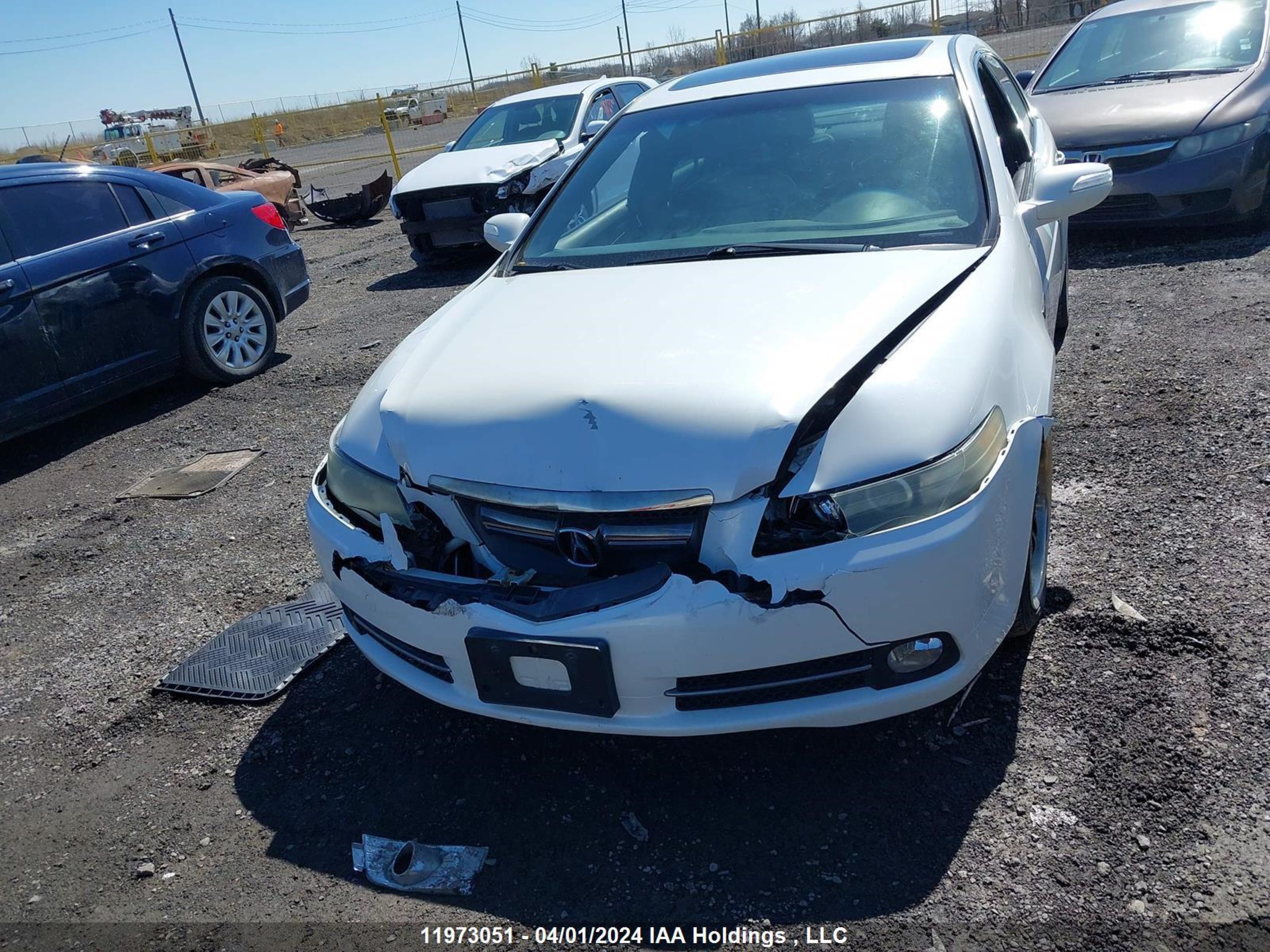 Photo 5 VIN: 19UUA76517A803156 - ACURA TL 