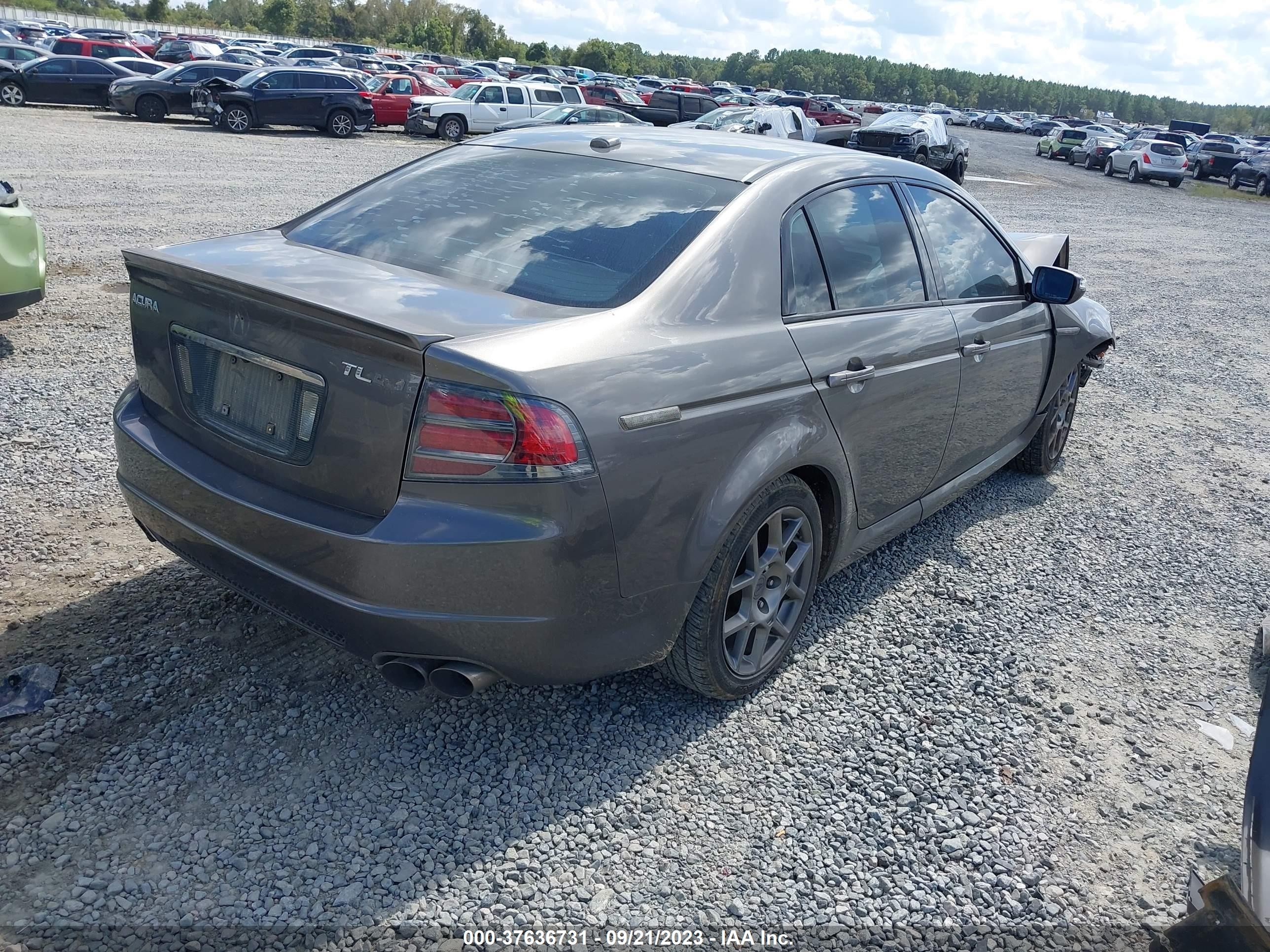 Photo 3 VIN: 19UUA76527A039768 - ACURA TL 