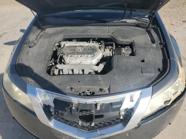 Photo 10 VIN: 19UUA86219A003116 - ACURA TL 