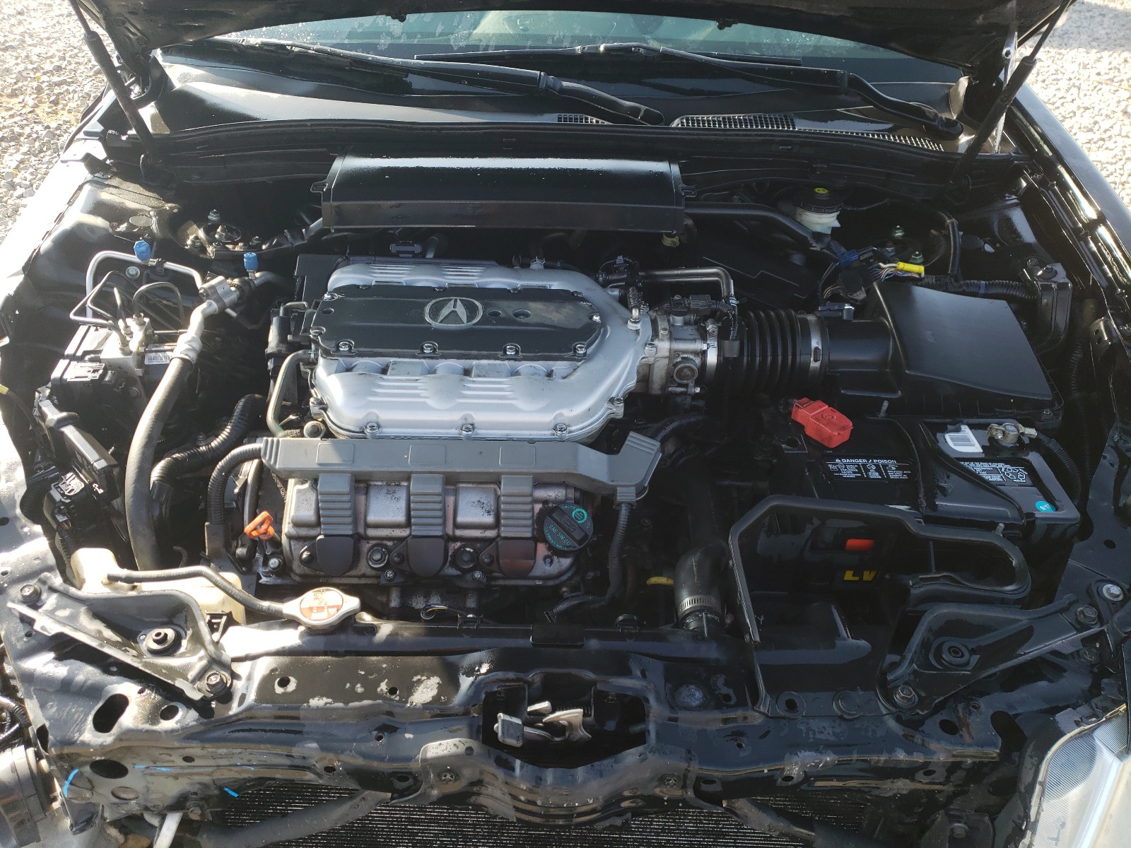 Photo 6 VIN: 19UUA86219A022328 - ACURA TL 