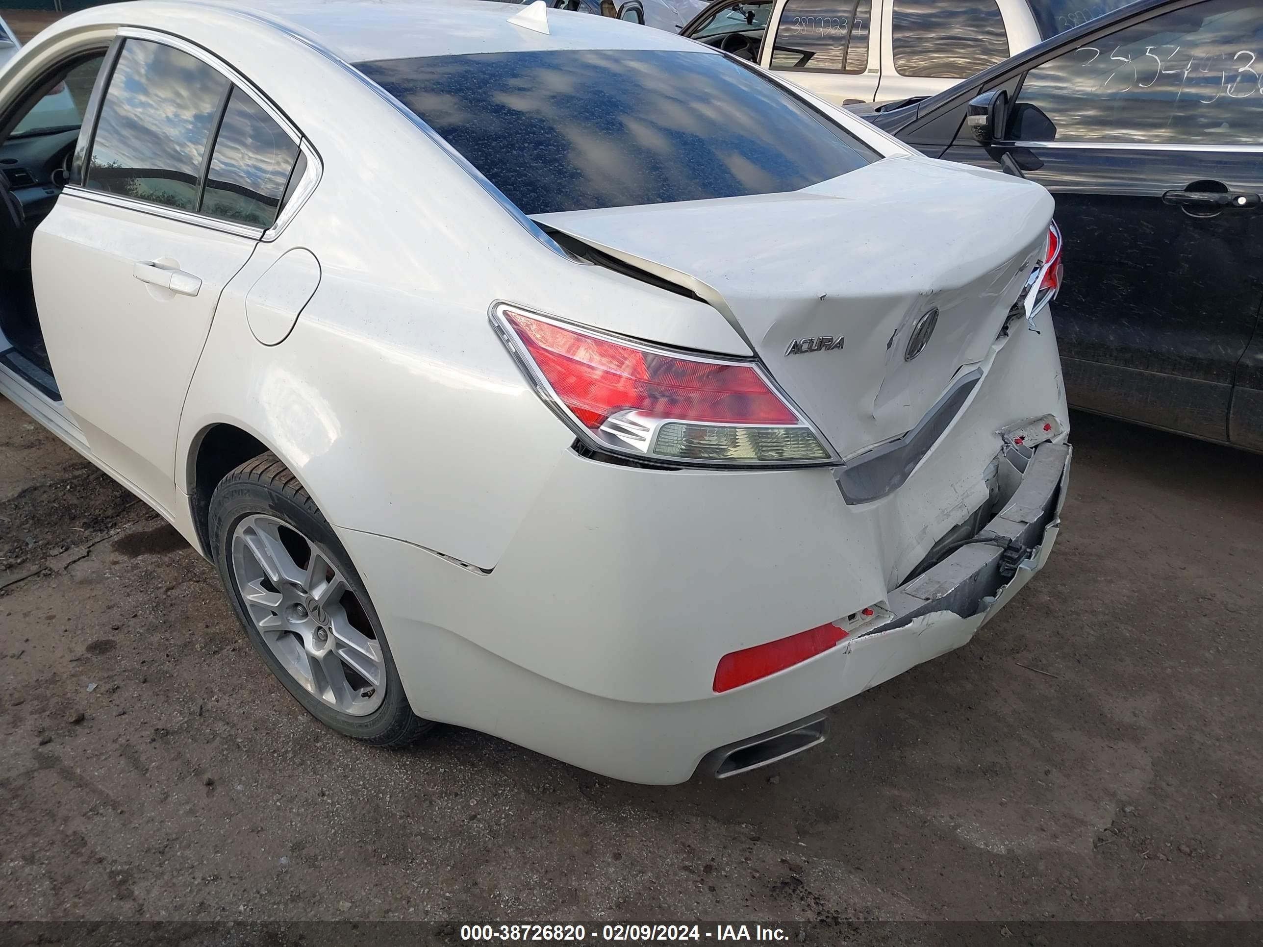 Photo 5 VIN: 19UUA86219A023558 - ACURA TL 