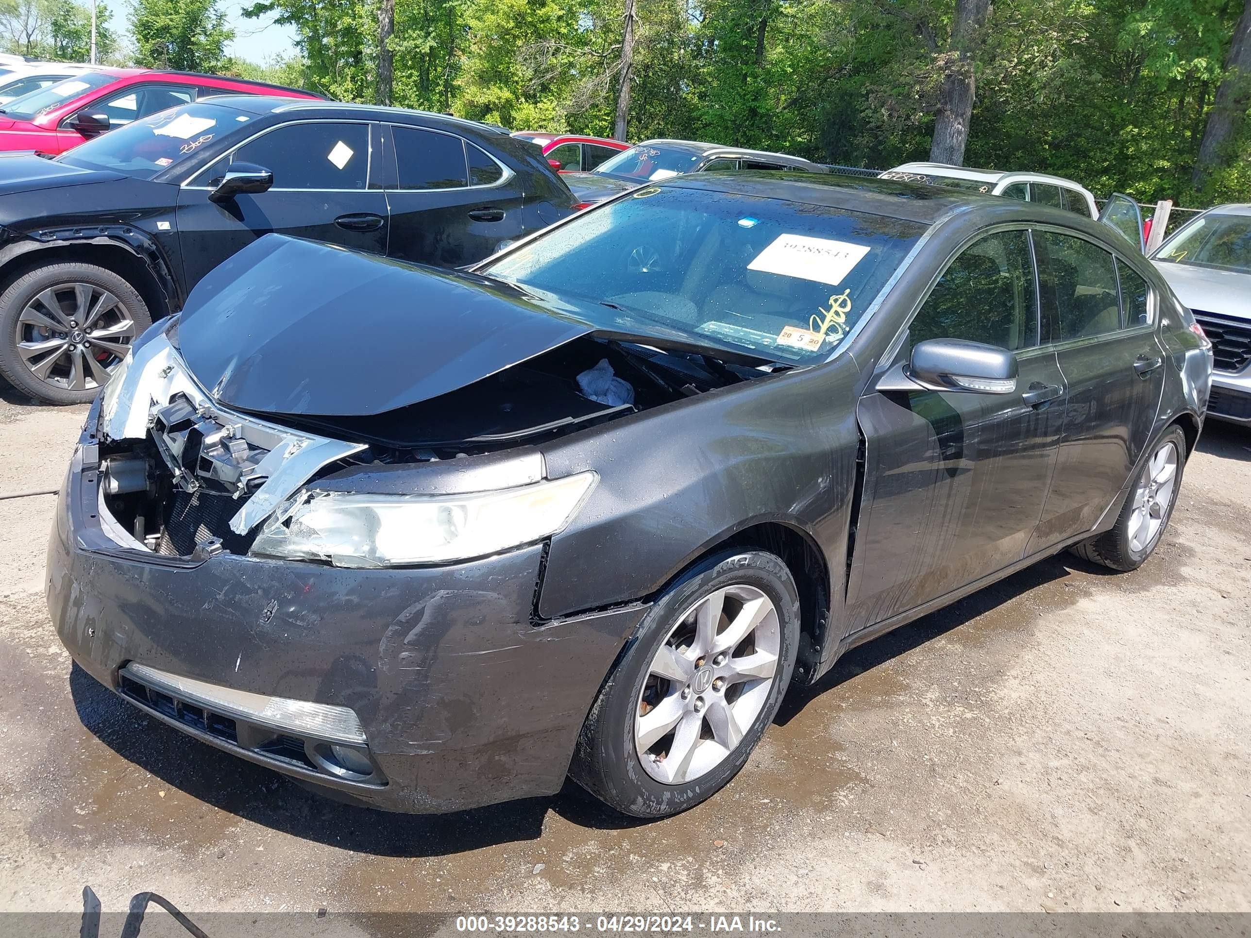 Photo 1 VIN: 19UUA86219A026038 - ACURA TL 