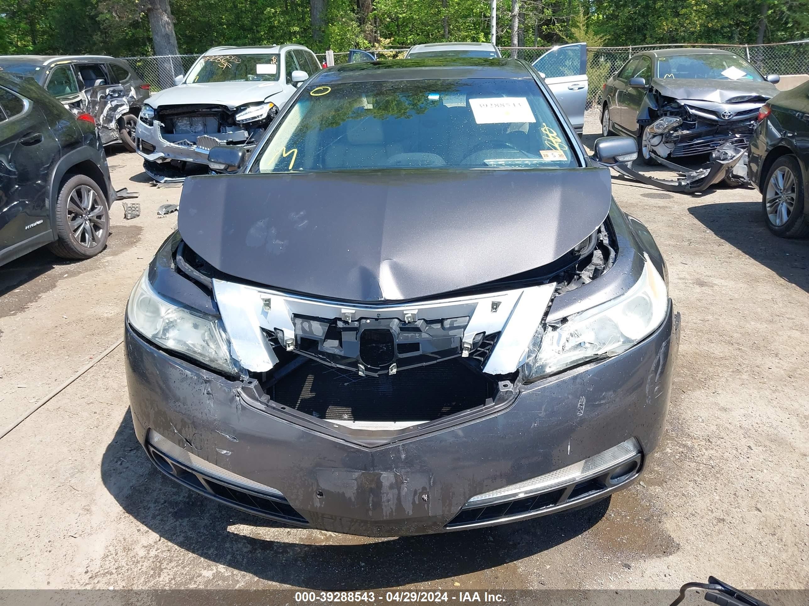 Photo 11 VIN: 19UUA86219A026038 - ACURA TL 