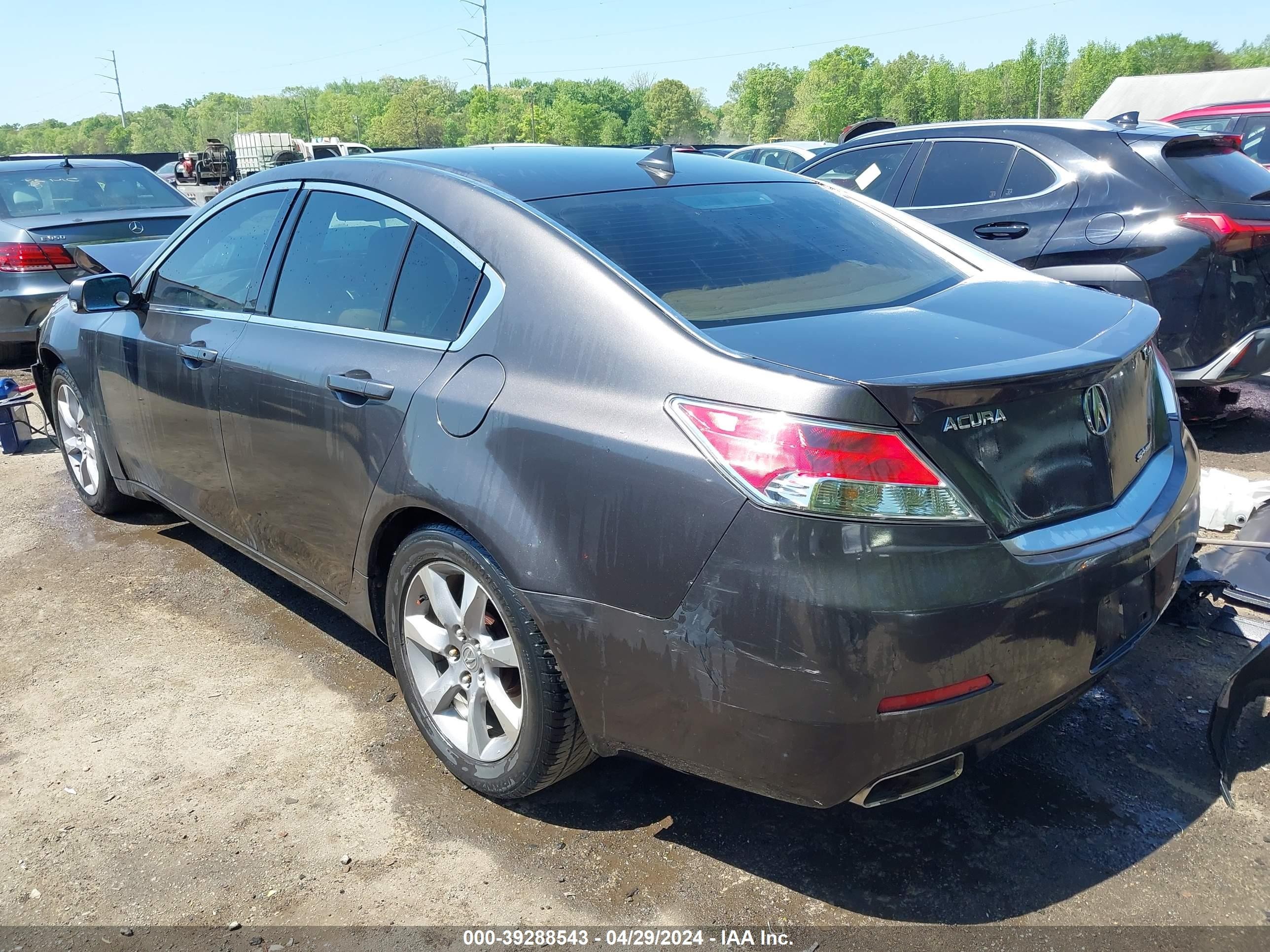 Photo 2 VIN: 19UUA86219A026038 - ACURA TL 