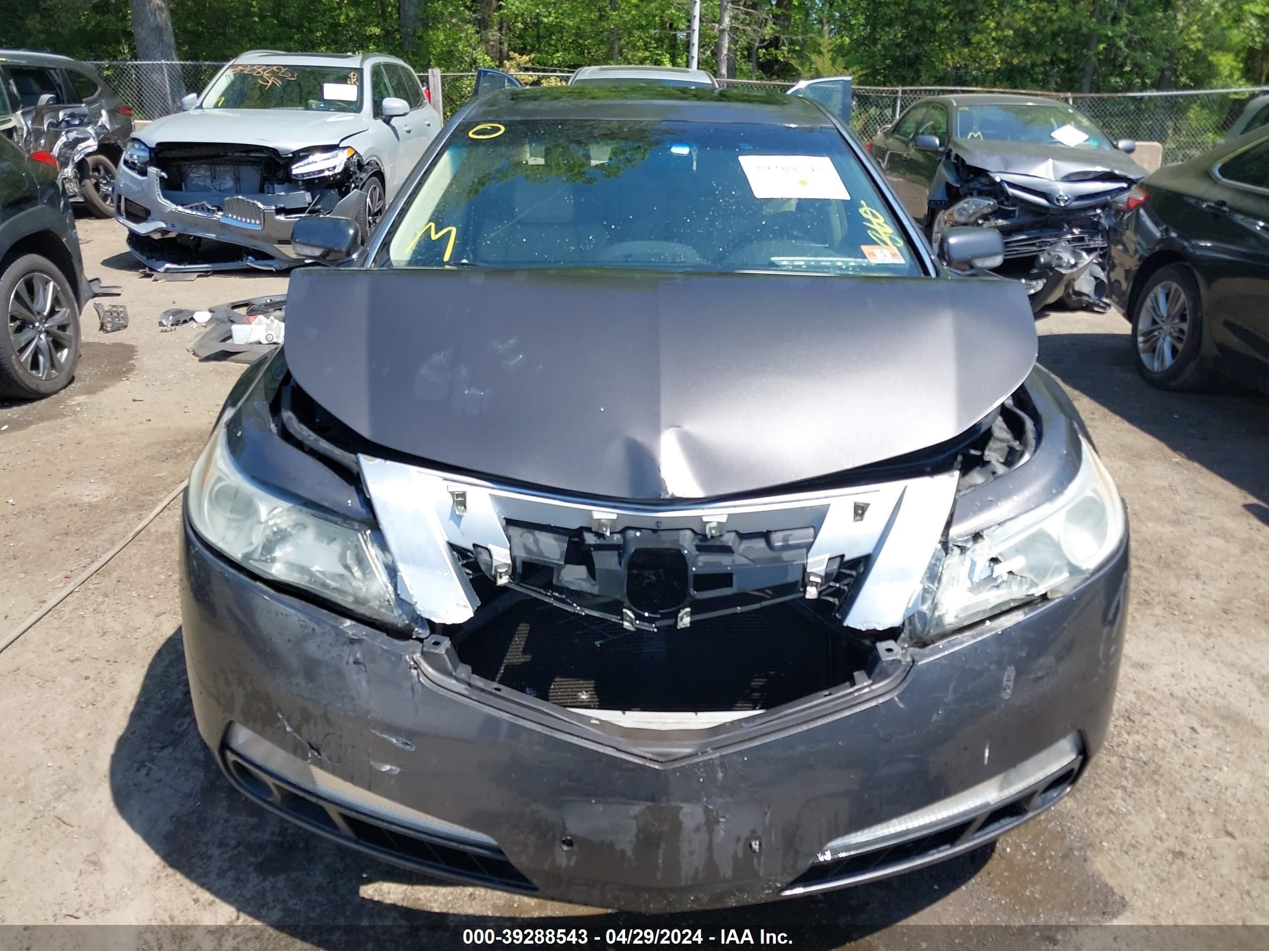 Photo 5 VIN: 19UUA86219A026038 - ACURA TL 