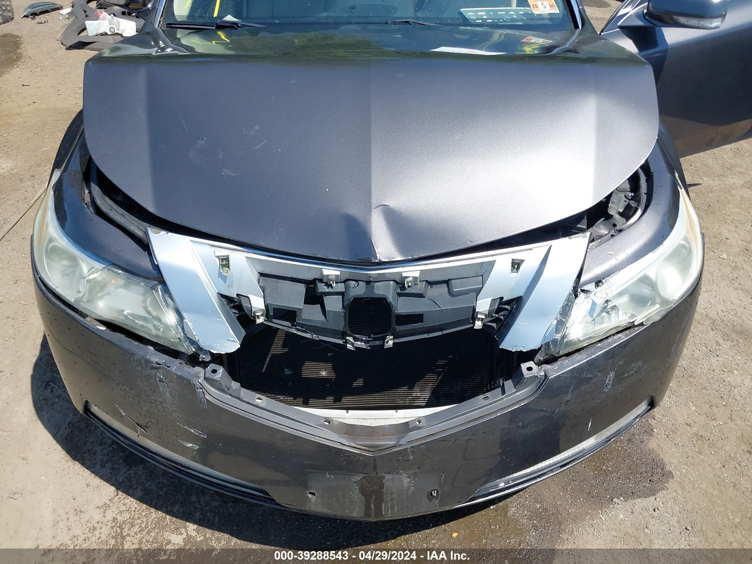 Photo 9 VIN: 19UUA86219A026038 - ACURA TL 