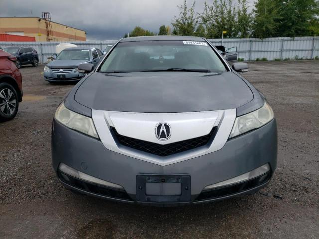 Photo 4 VIN: 19UUA86219A800479 - ACURA TL 