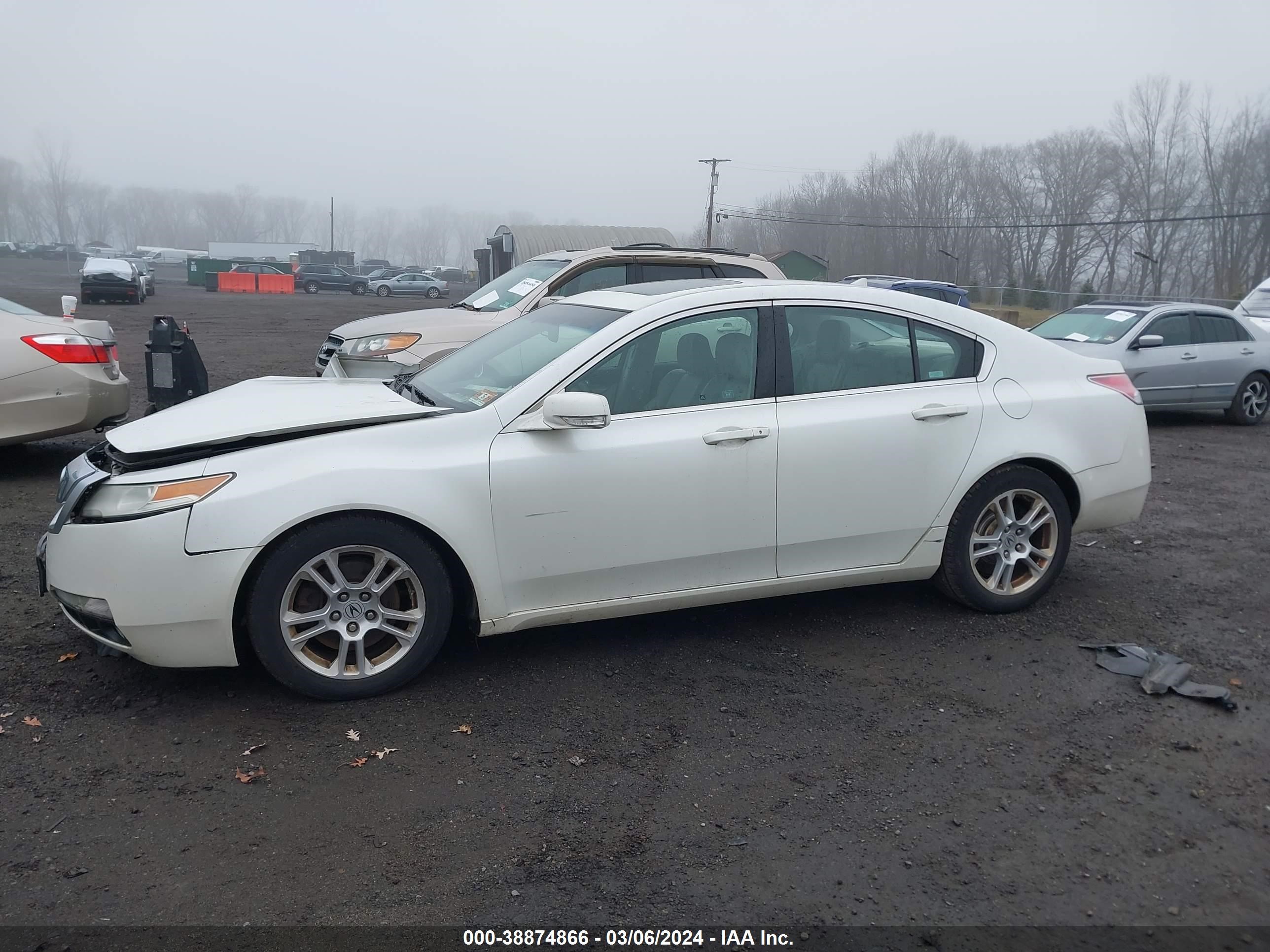 Photo 13 VIN: 19UUA86239A015834 - ACURA TL 