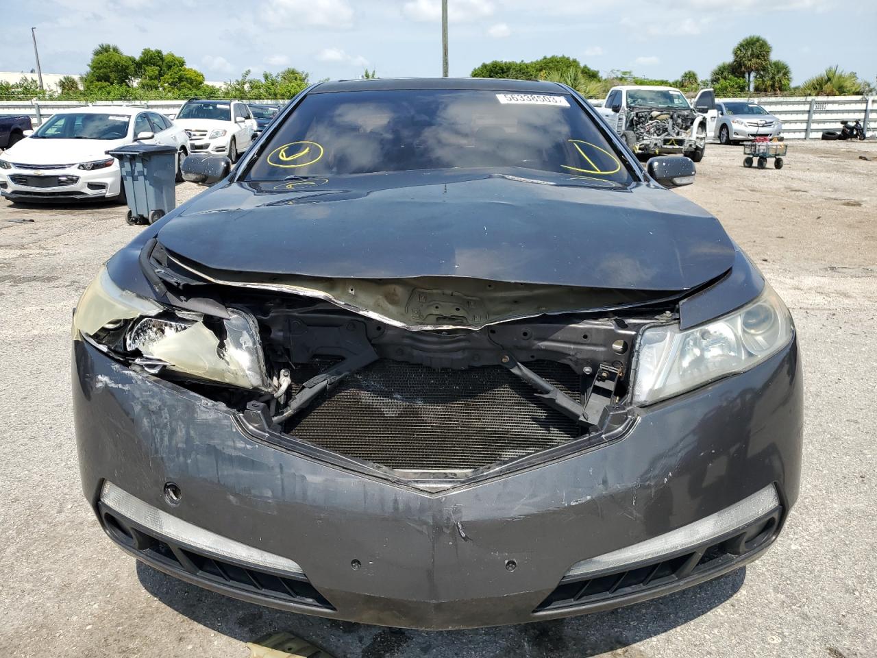 Photo 4 VIN: 19UUA86279A019448 - ACURA TL 