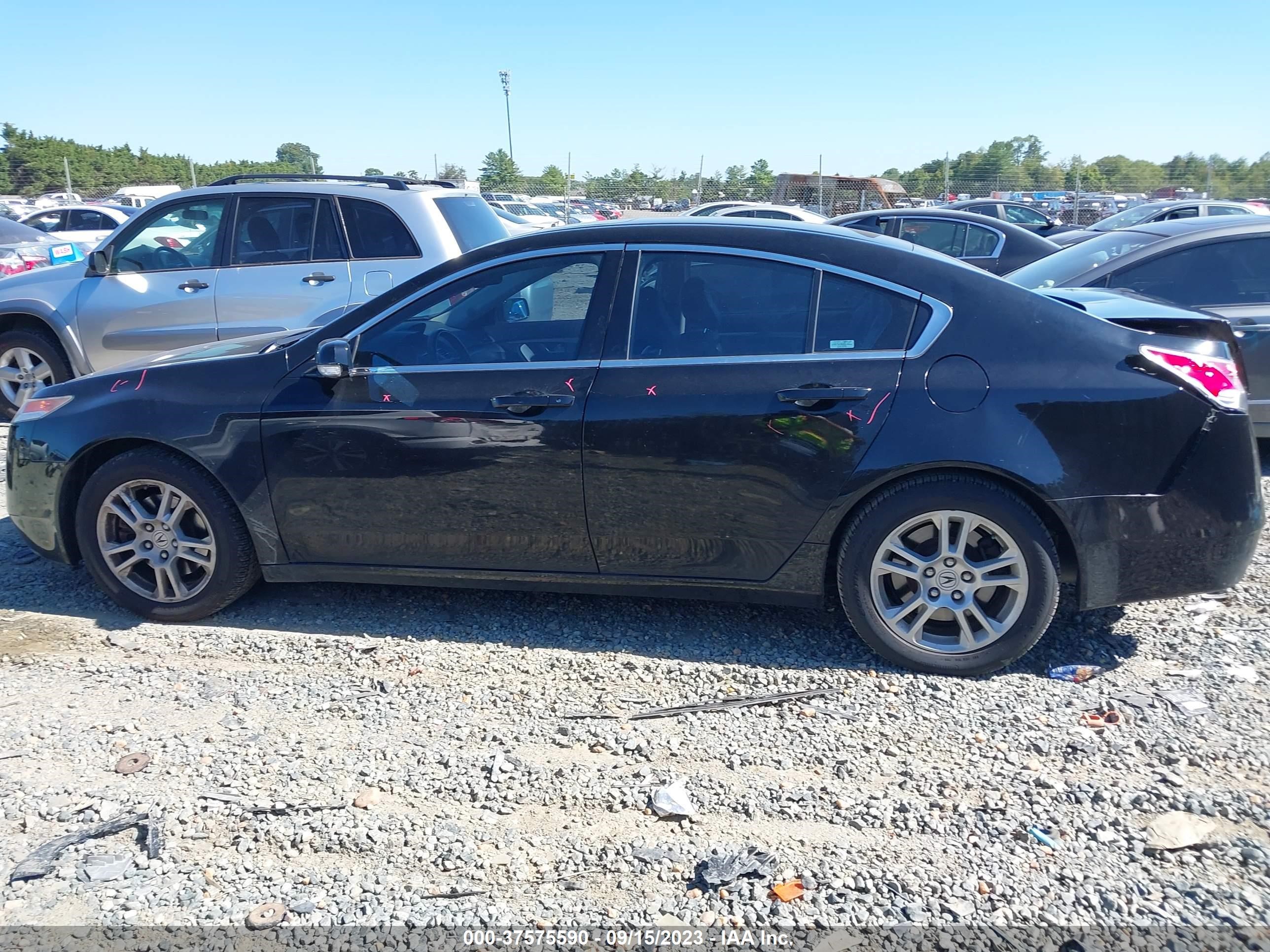 Photo 13 VIN: 19UUA862X9A002563 - ACURA TL 