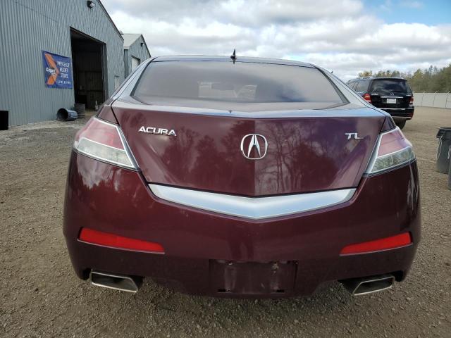 Photo 5 VIN: 19UUA862X9A800531 - ACURA TL 