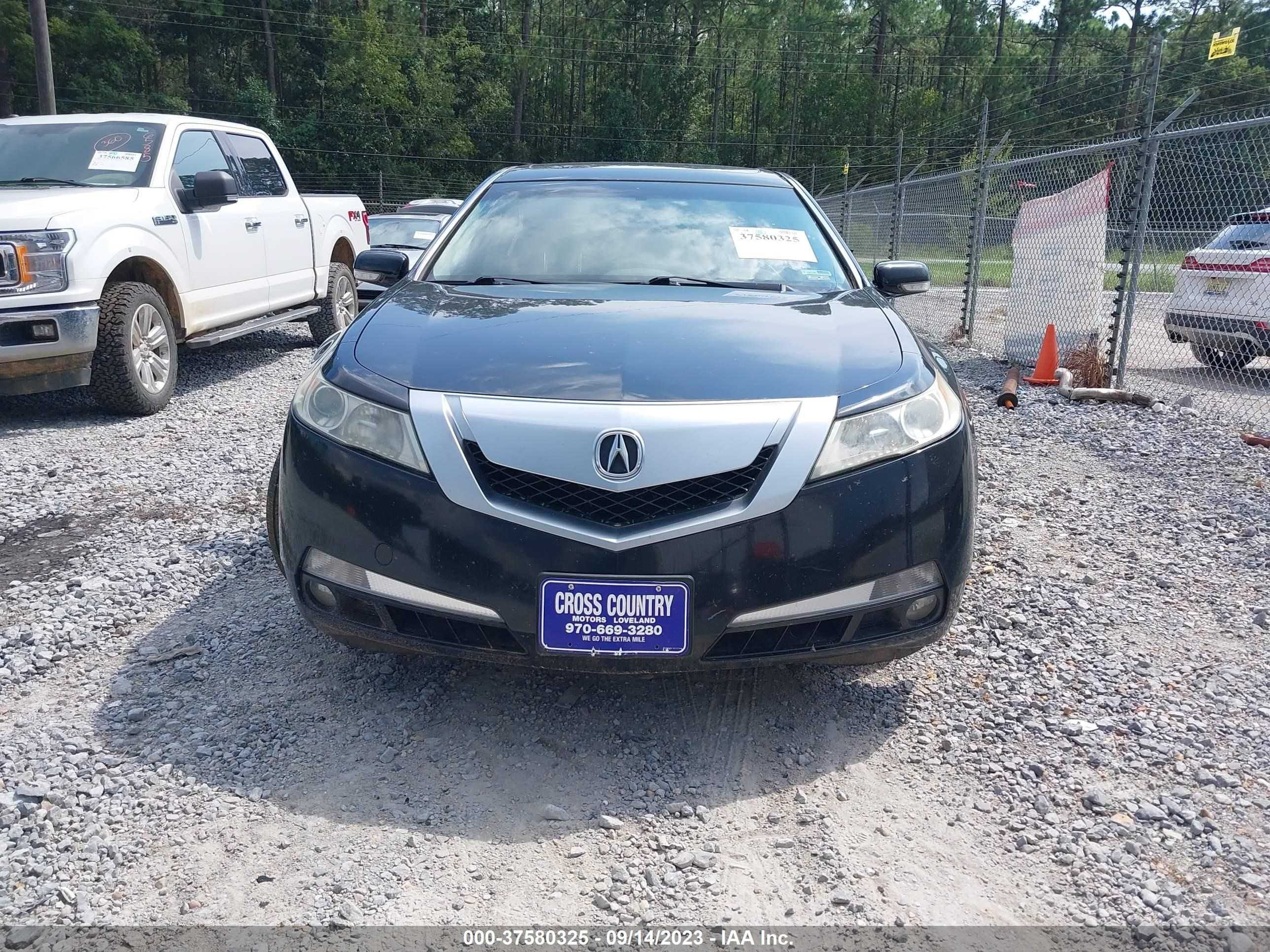 Photo 11 VIN: 19UUA86509A003246 - ACURA TL 