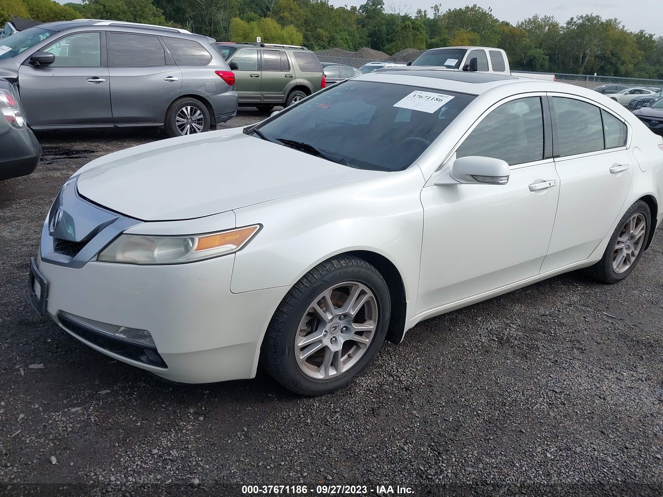 Photo 1 VIN: 19UUA86509A009080 - ACURA TL 