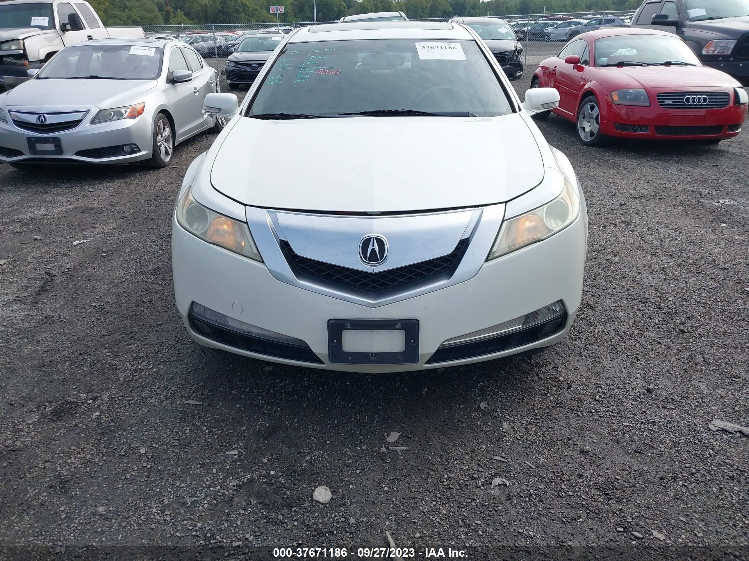 Photo 12 VIN: 19UUA86509A009080 - ACURA TL 