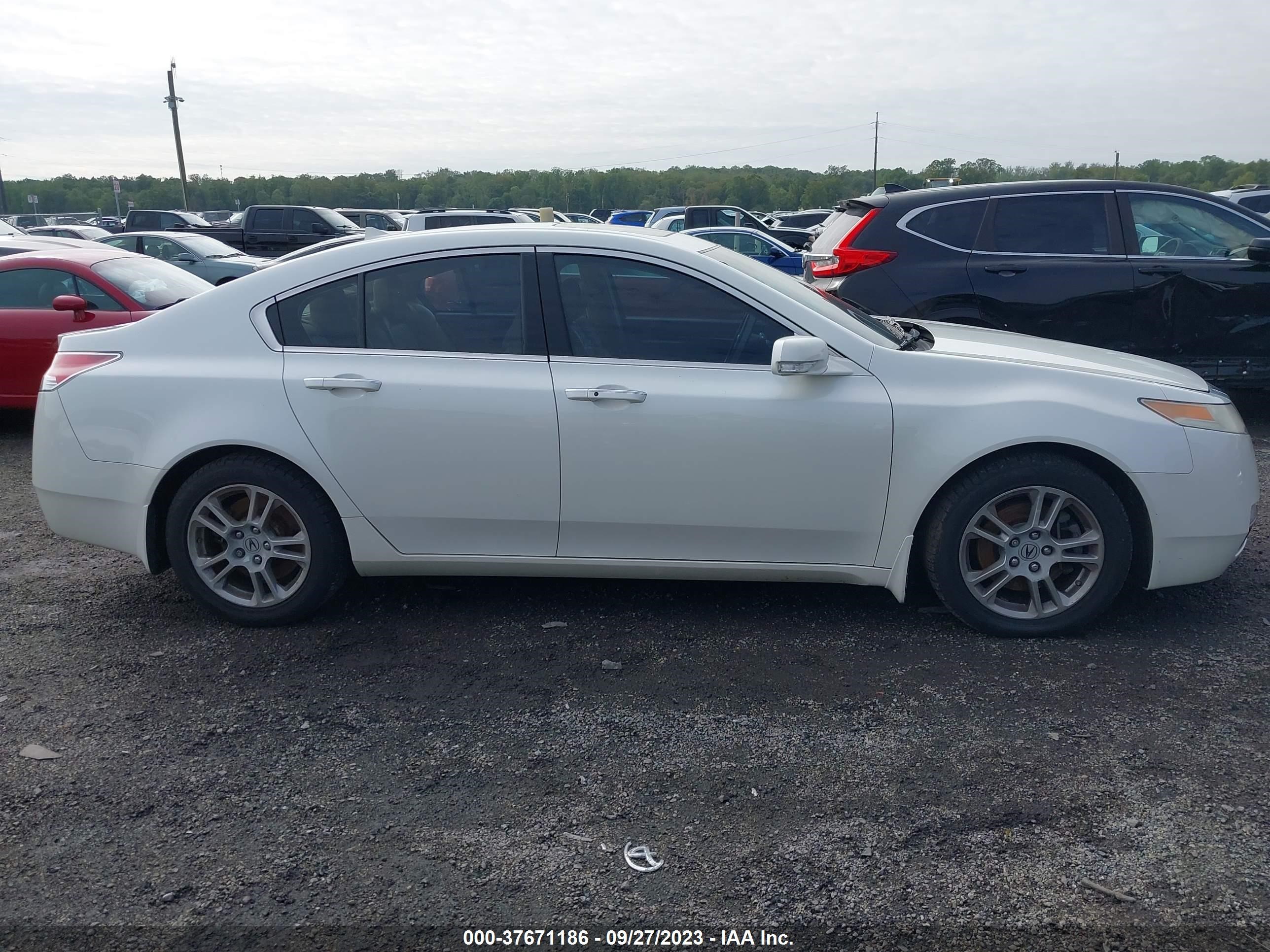 Photo 13 VIN: 19UUA86509A009080 - ACURA TL 