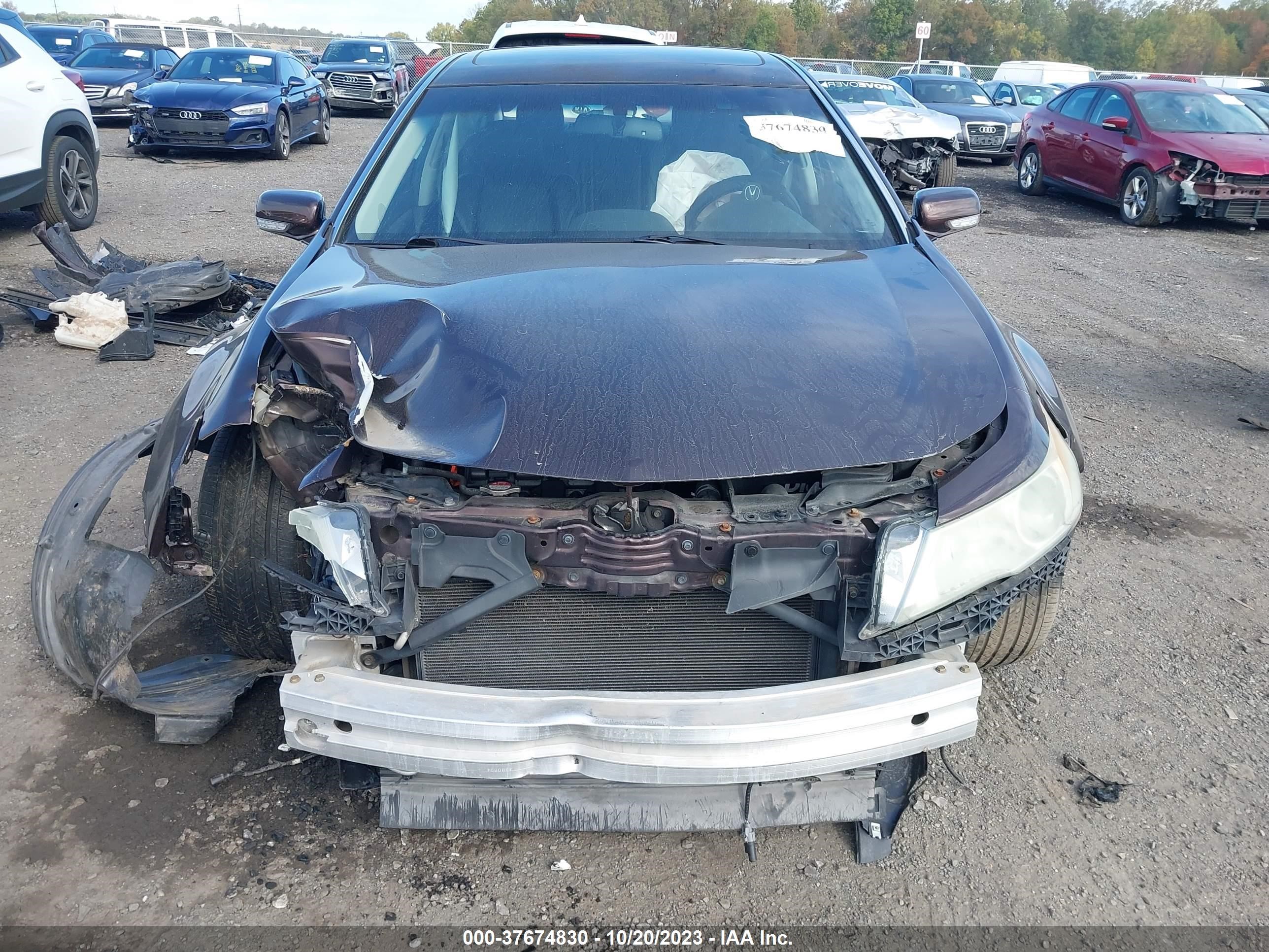 Photo 11 VIN: 19UUA86509A020922 - ACURA TL 