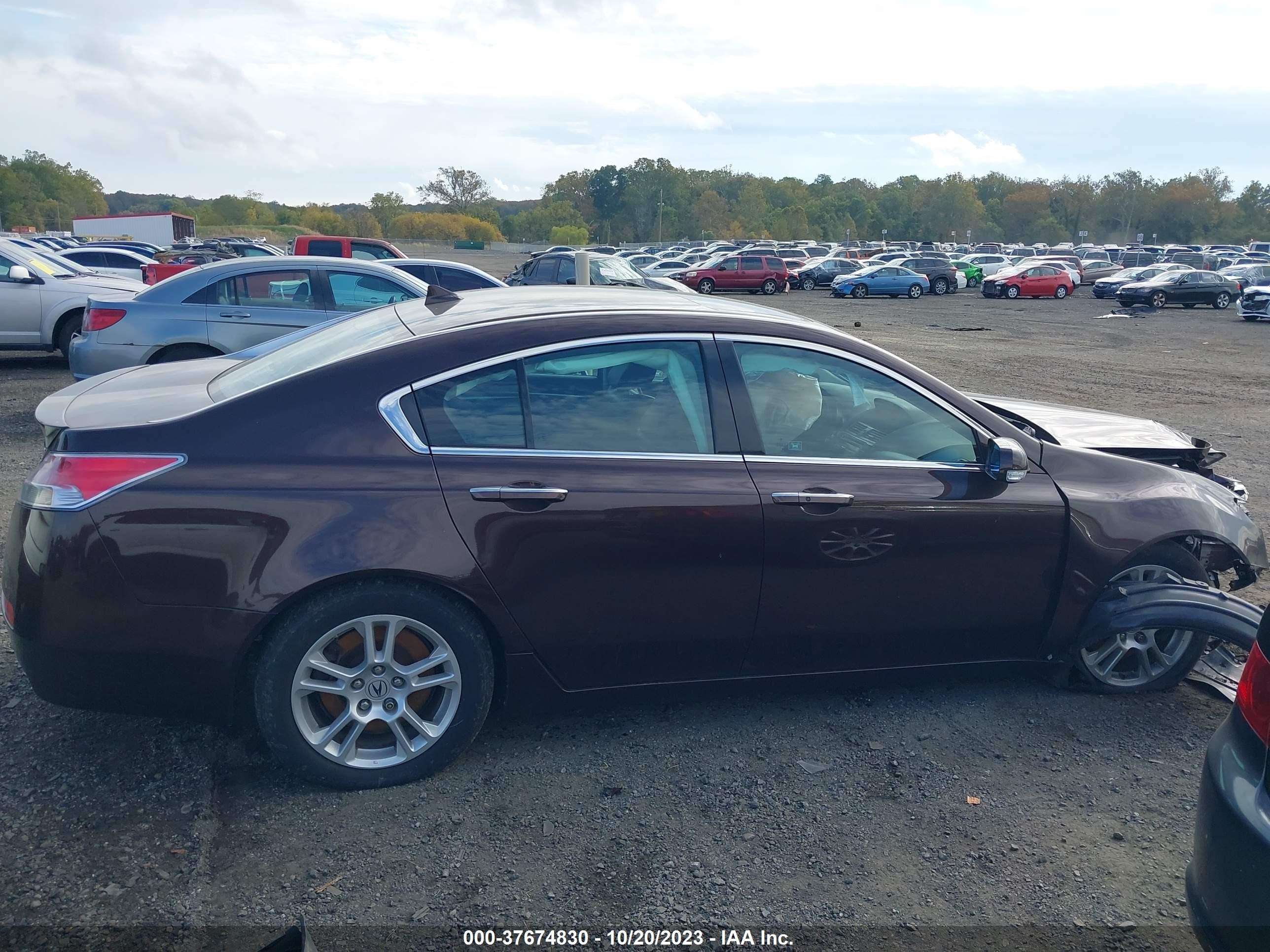 Photo 12 VIN: 19UUA86509A020922 - ACURA TL 