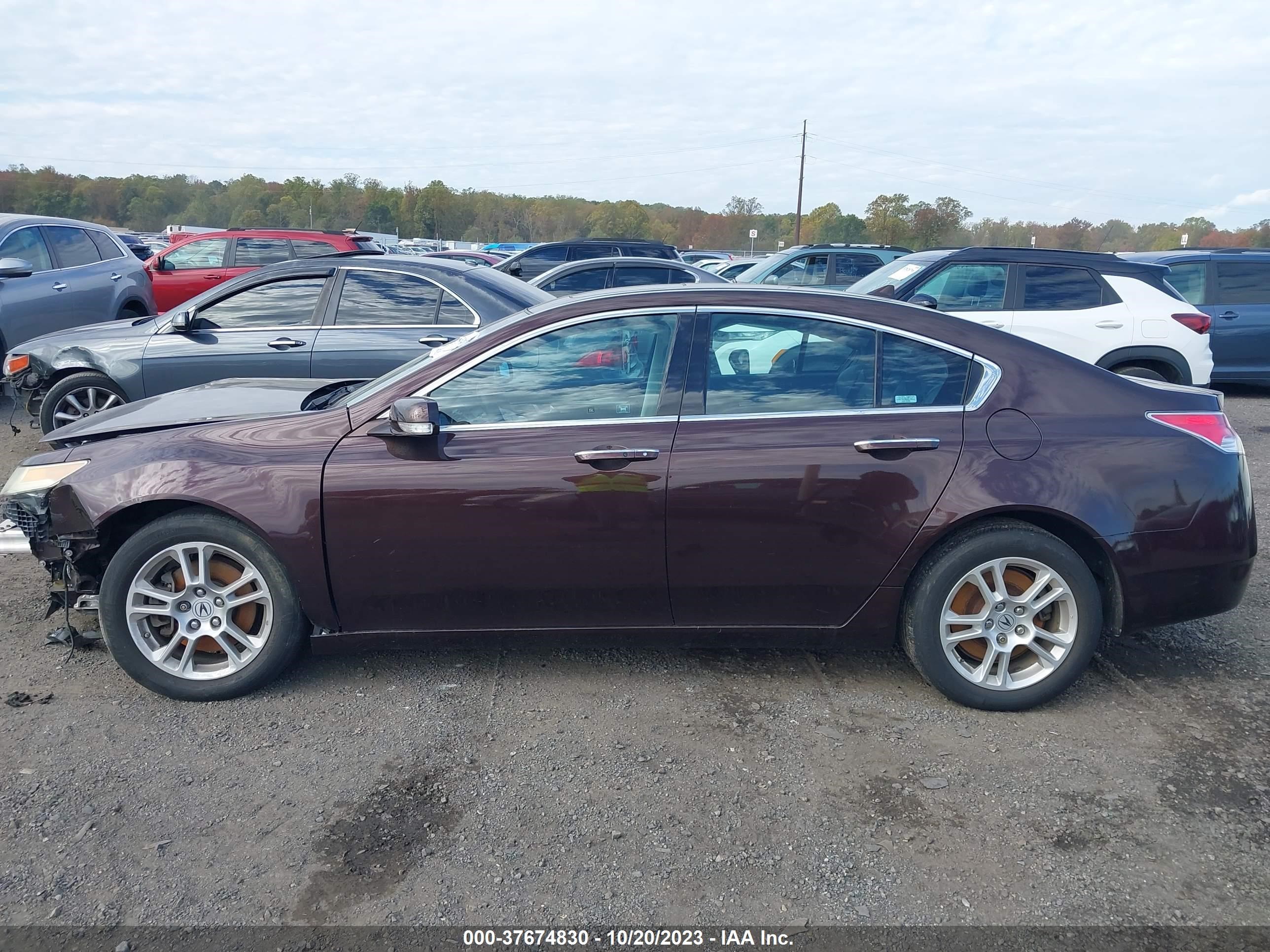 Photo 13 VIN: 19UUA86509A020922 - ACURA TL 