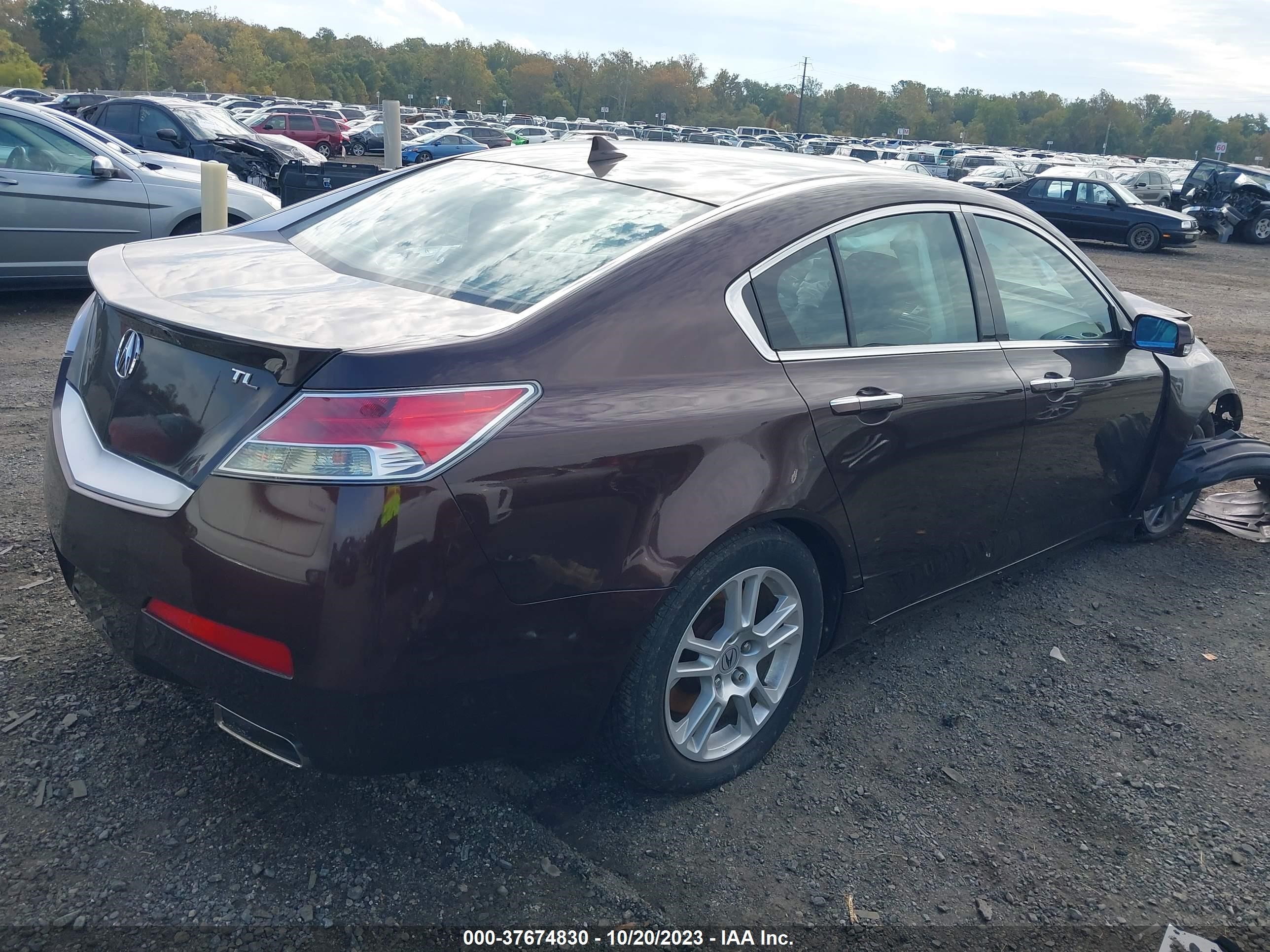 Photo 3 VIN: 19UUA86509A020922 - ACURA TL 