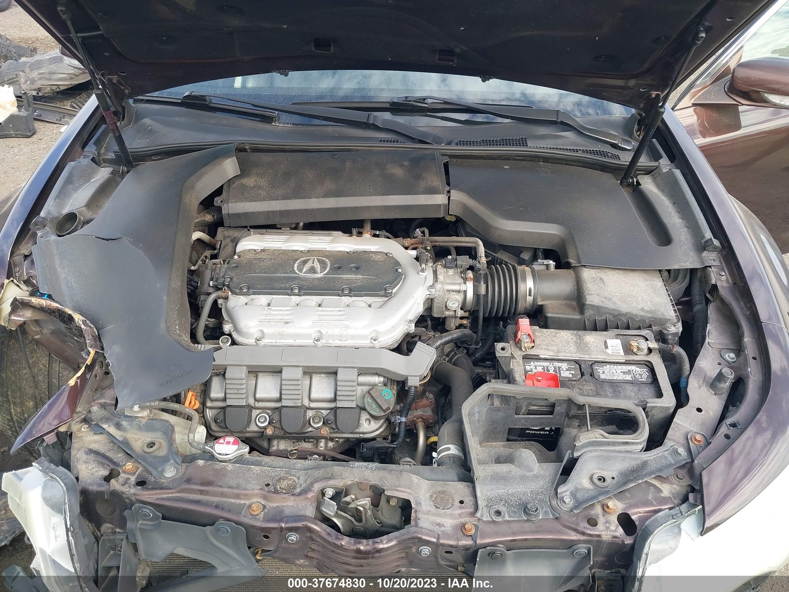 Photo 9 VIN: 19UUA86509A020922 - ACURA TL 