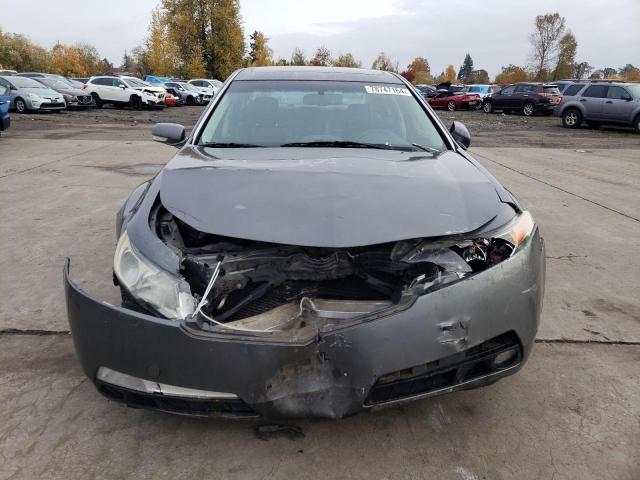 Photo 4 VIN: 19UUA86519A008066 - ACURA TL 