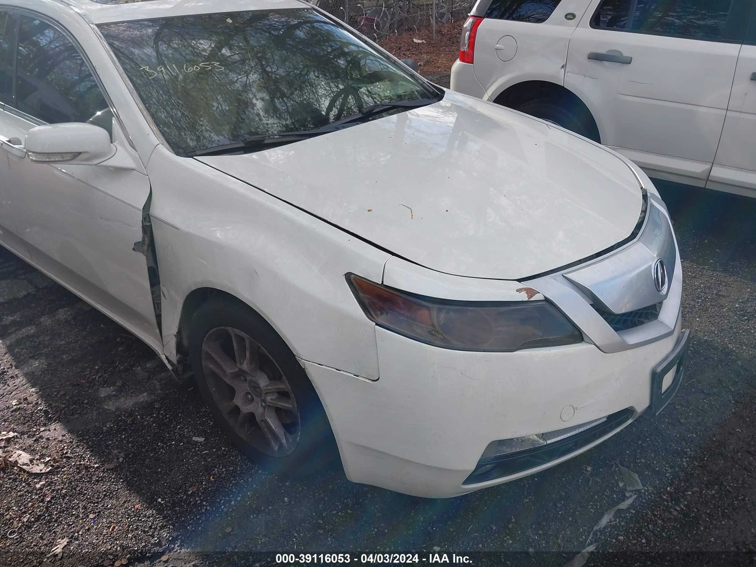 Photo 10 VIN: 19UUA86519A019259 - ACURA TL 