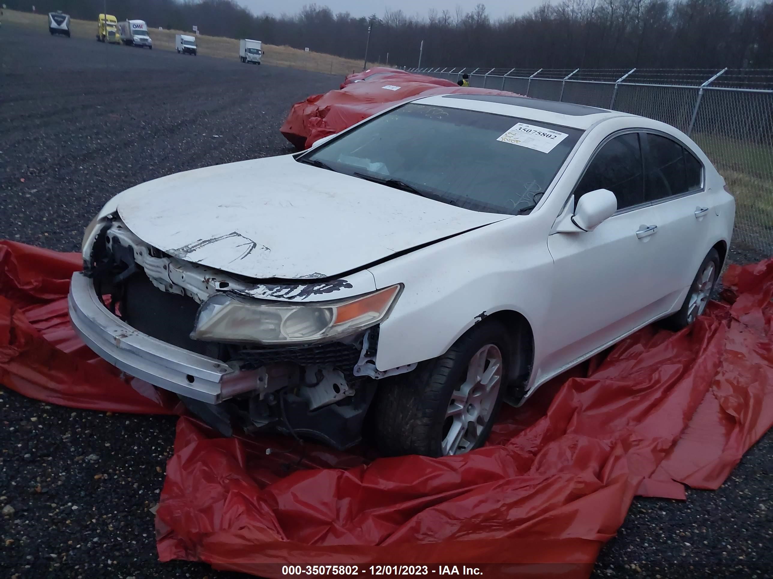 Photo 1 VIN: 19UUA86529A005645 - ACURA TL 