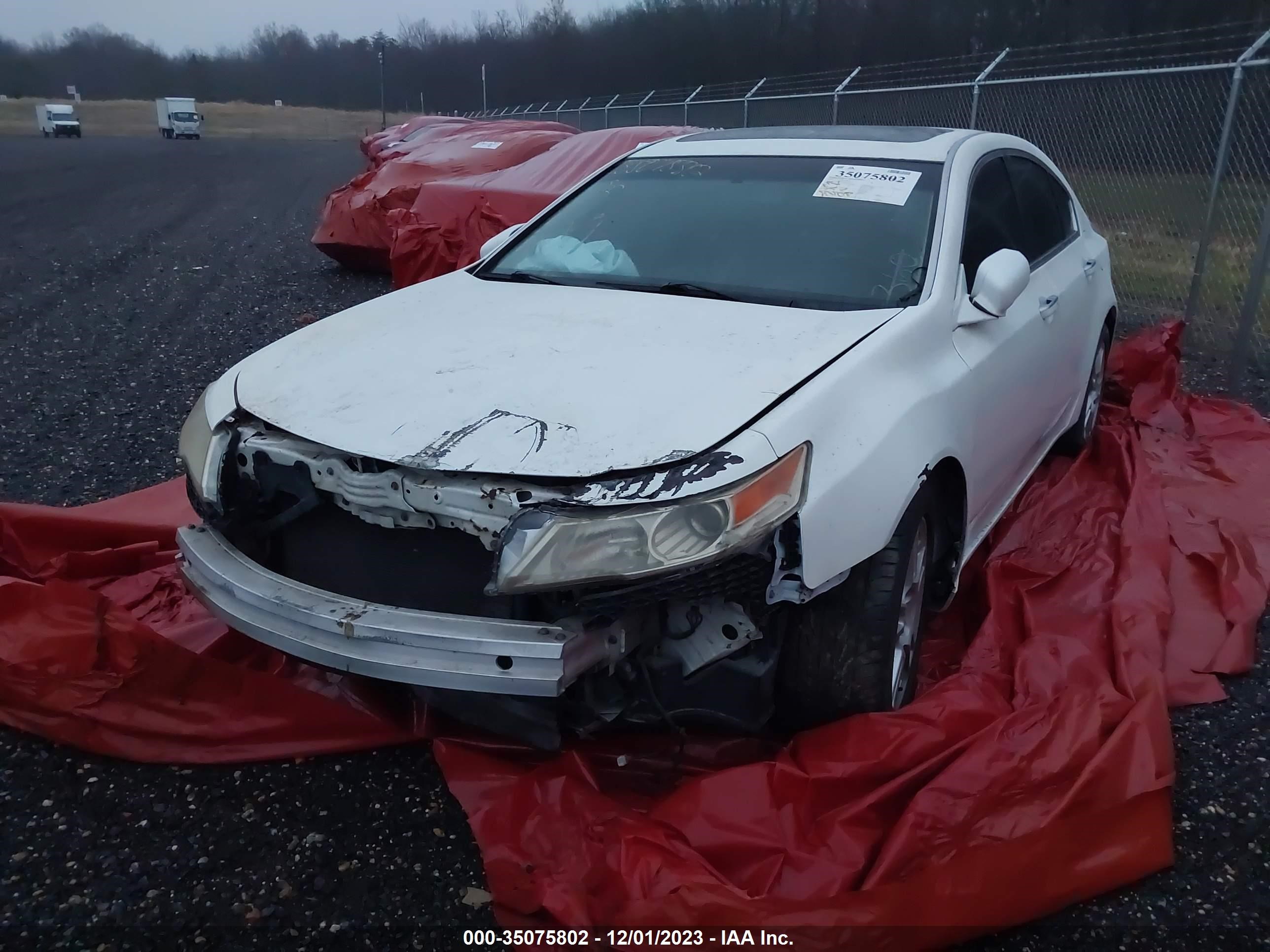 Photo 5 VIN: 19UUA86529A005645 - ACURA TL 