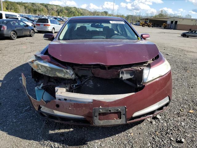 Photo 4 VIN: 19UUA86529A007184 - ACURA TL 