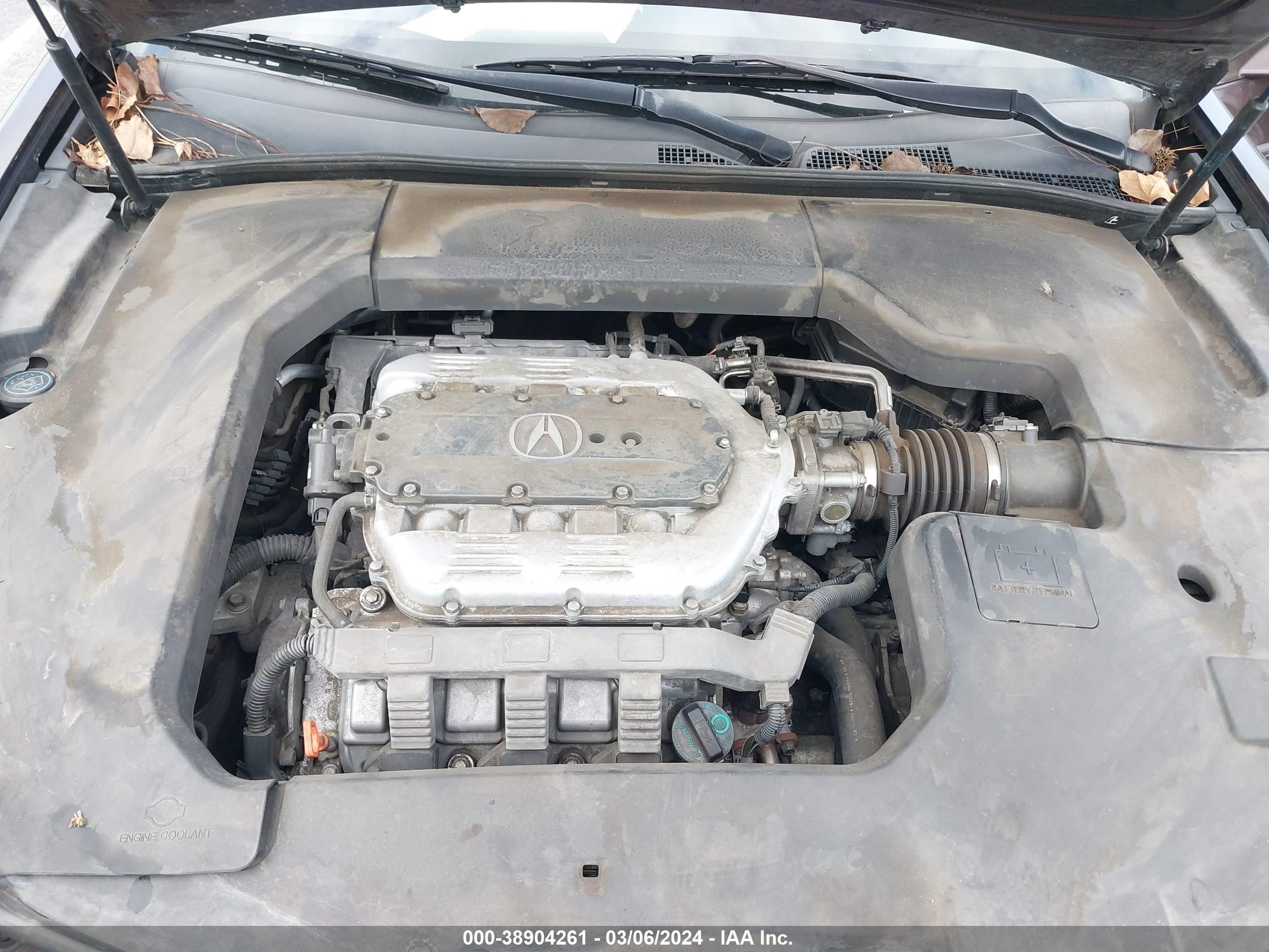 Photo 9 VIN: 19UUA86529A016788 - ACURA TL 