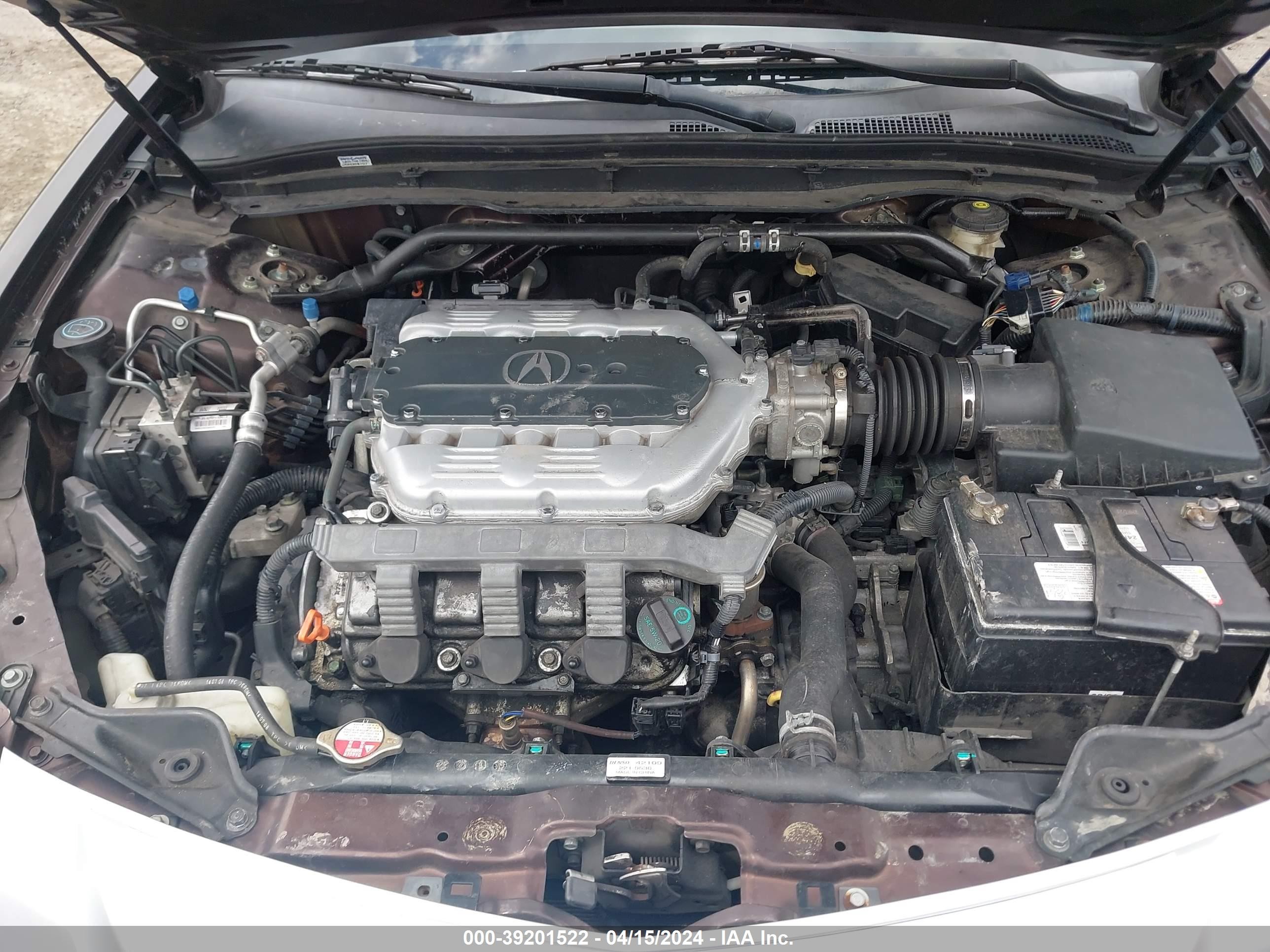 Photo 9 VIN: 19UUA86549A016842 - ACURA TL 